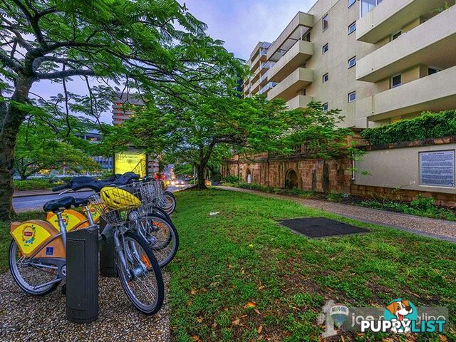 41 Gotha Street FORTITUDE VALLEY QLD 4006