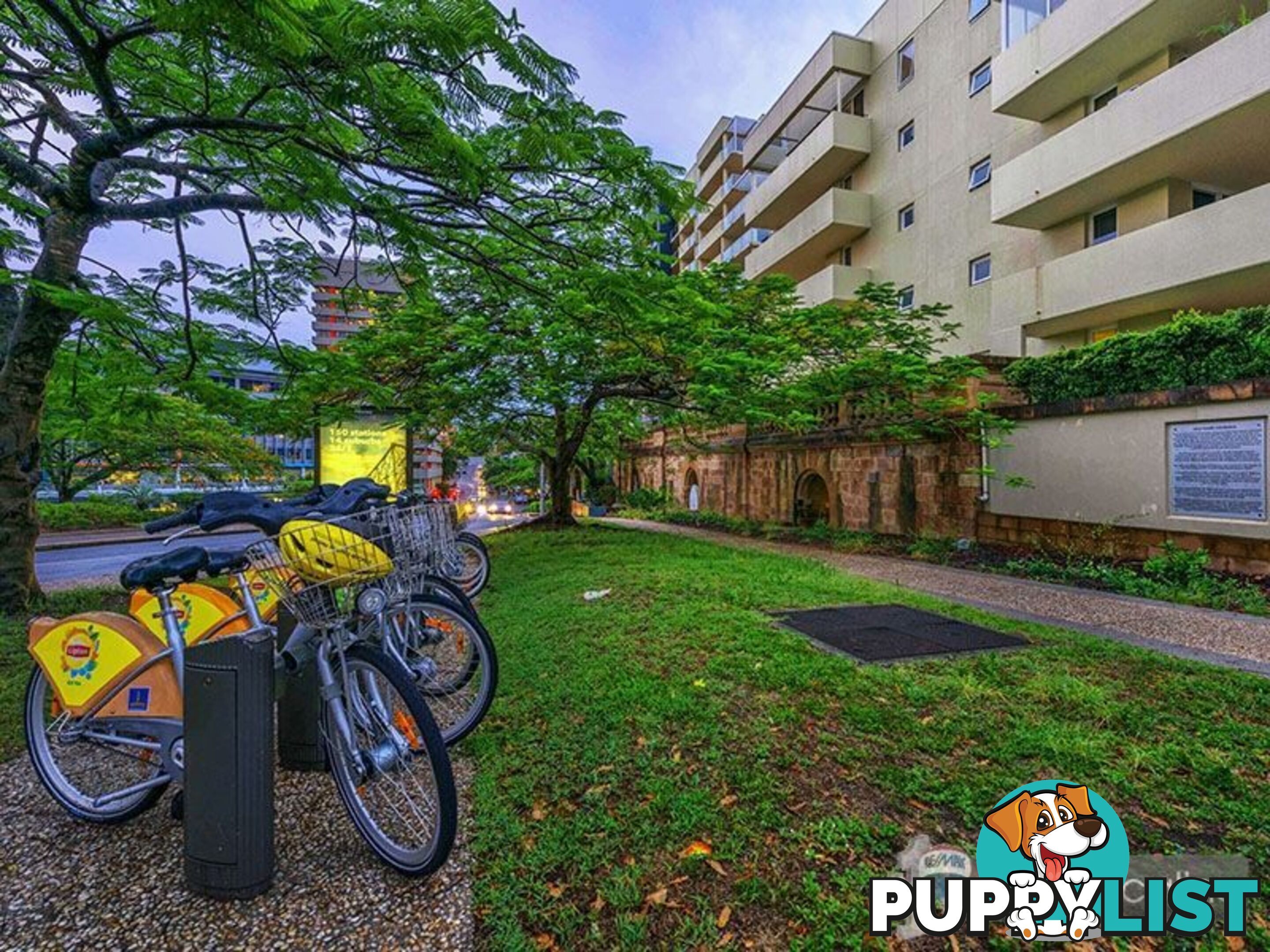 41 Gotha Street FORTITUDE VALLEY QLD 4006