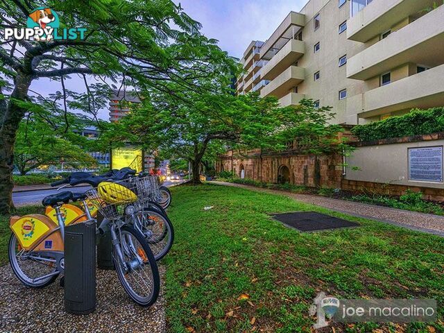 41 Gotha Street FORTITUDE VALLEY QLD 4006