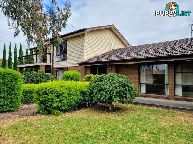 45 Williams Street INVERLOCH VIC 3996