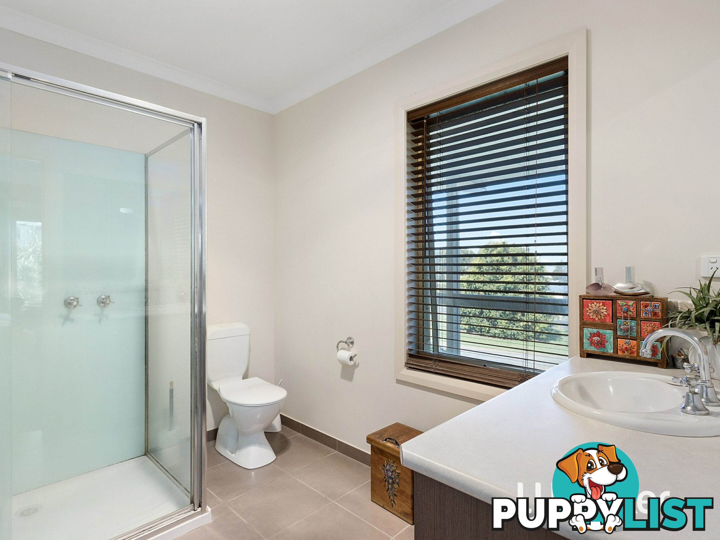 95 Betula Drive POOWONG VIC 3988