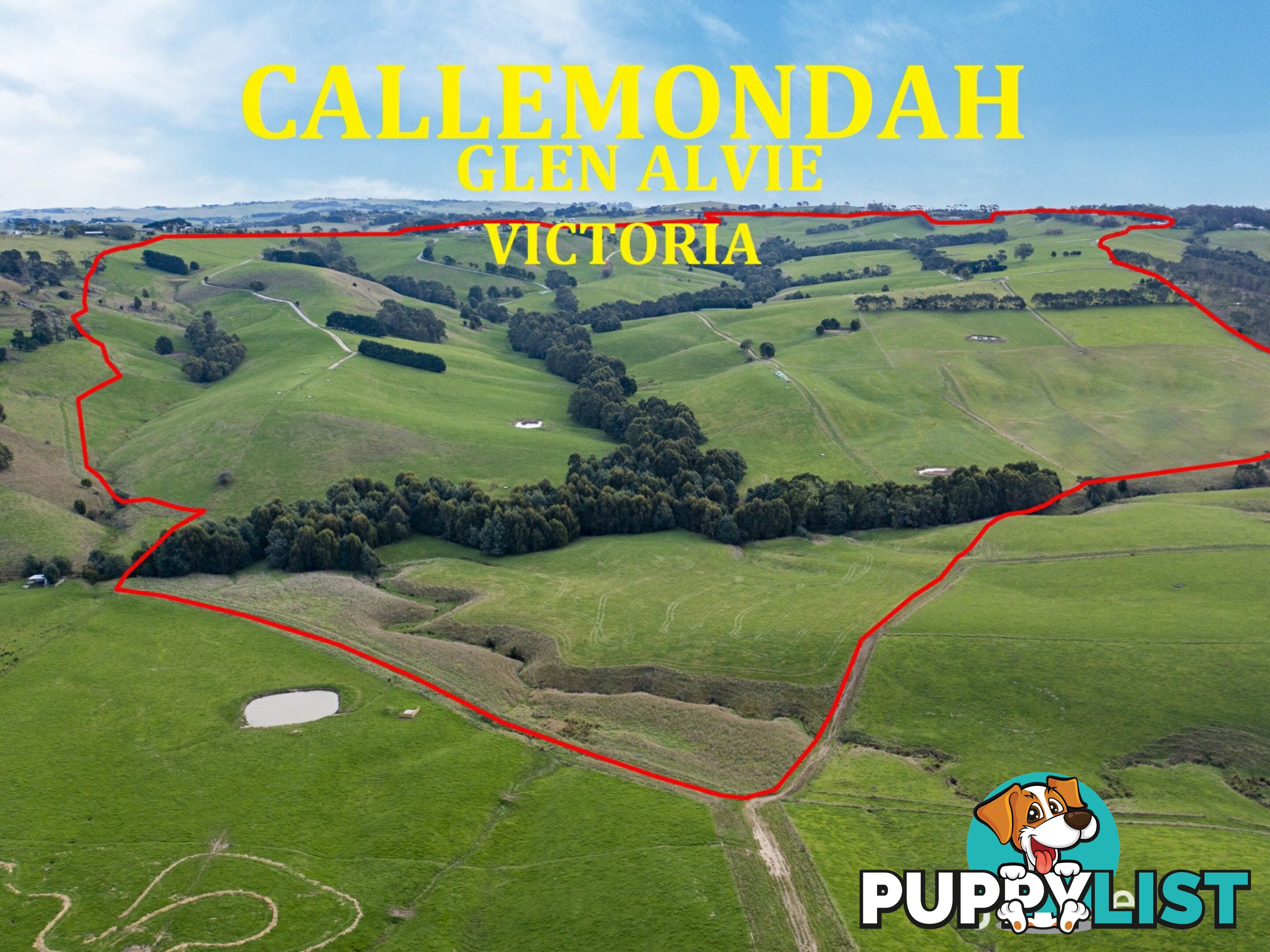 1485 Loch-Wonthaggi Road GLEN ALVIE VIC 3979