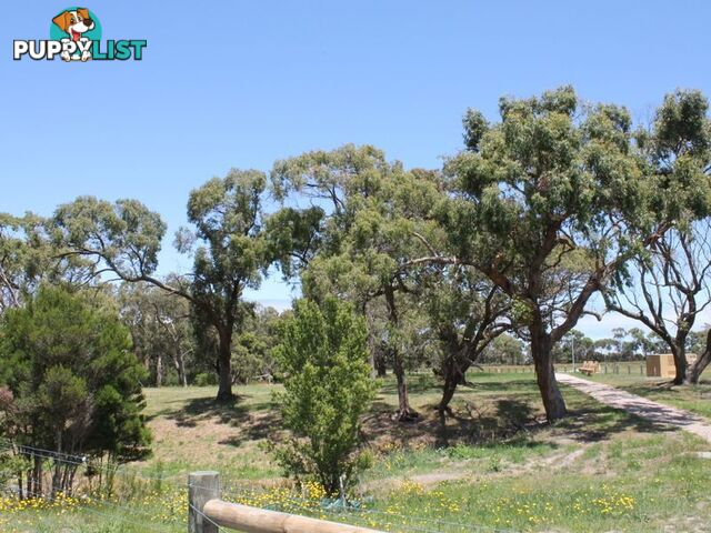 Lot 5 Kanowna Place INVERLOCH VIC 3996