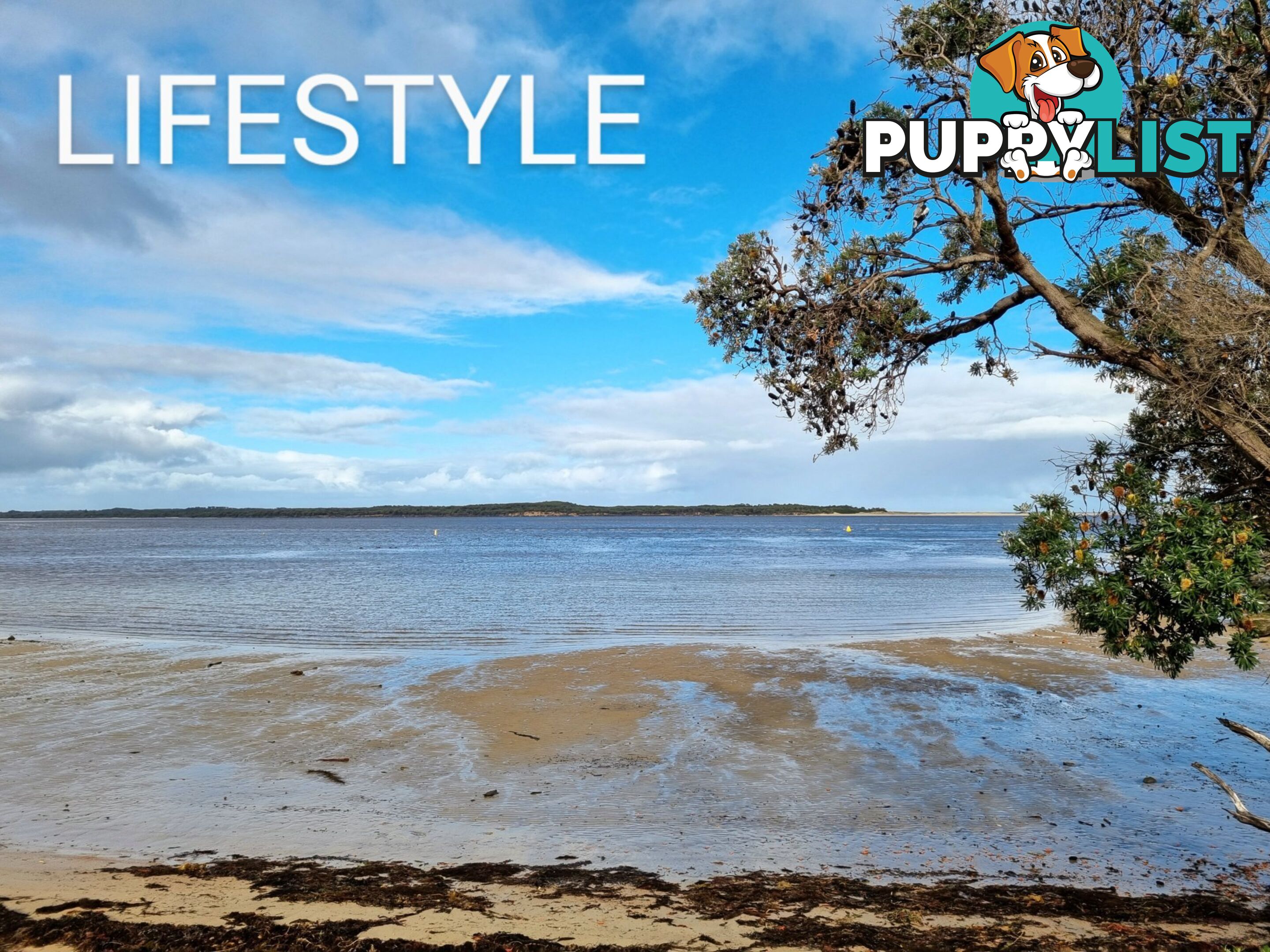 35 The Esplanade INVERLOCH VIC 3996