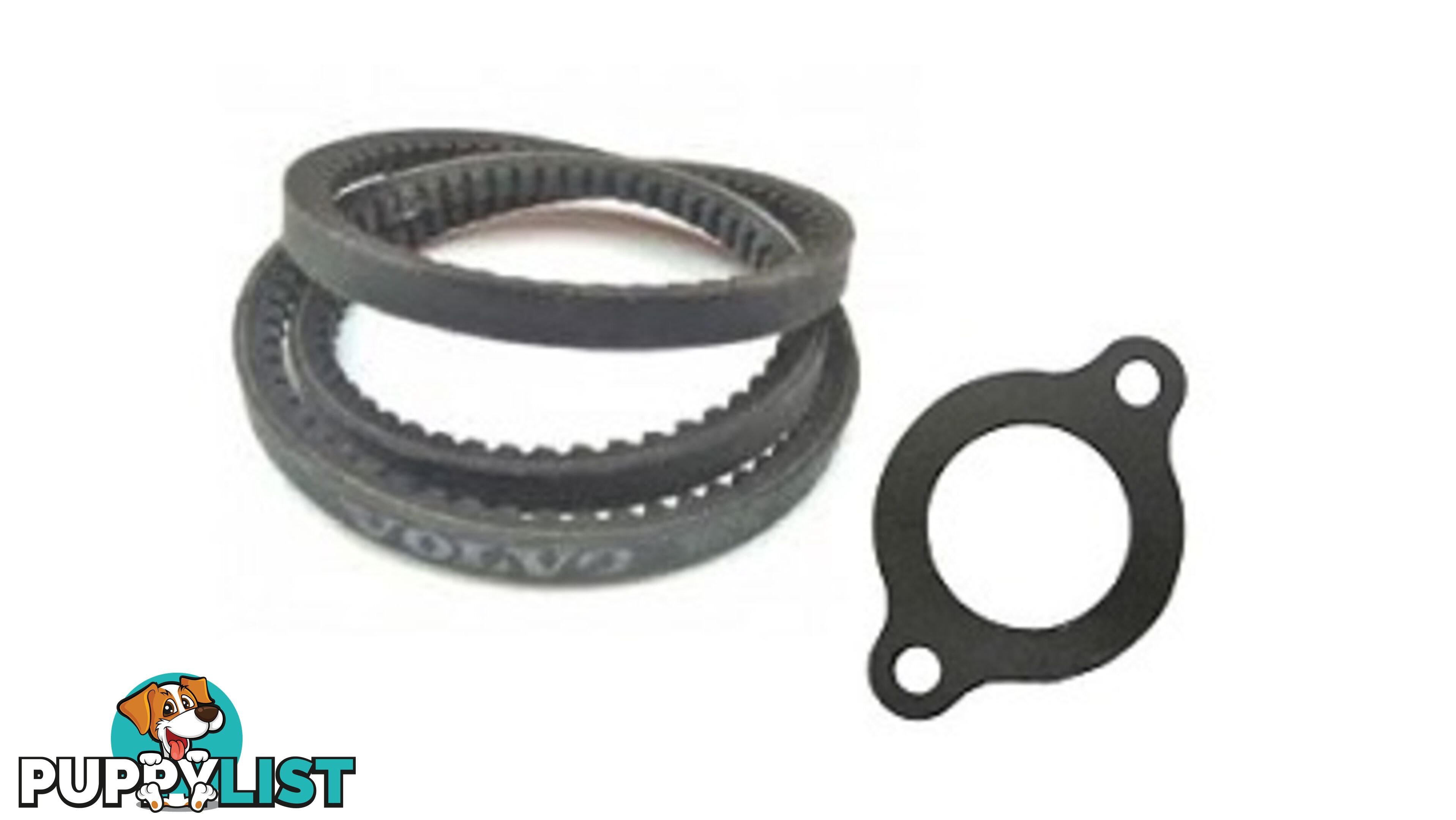 21352841, GASKET