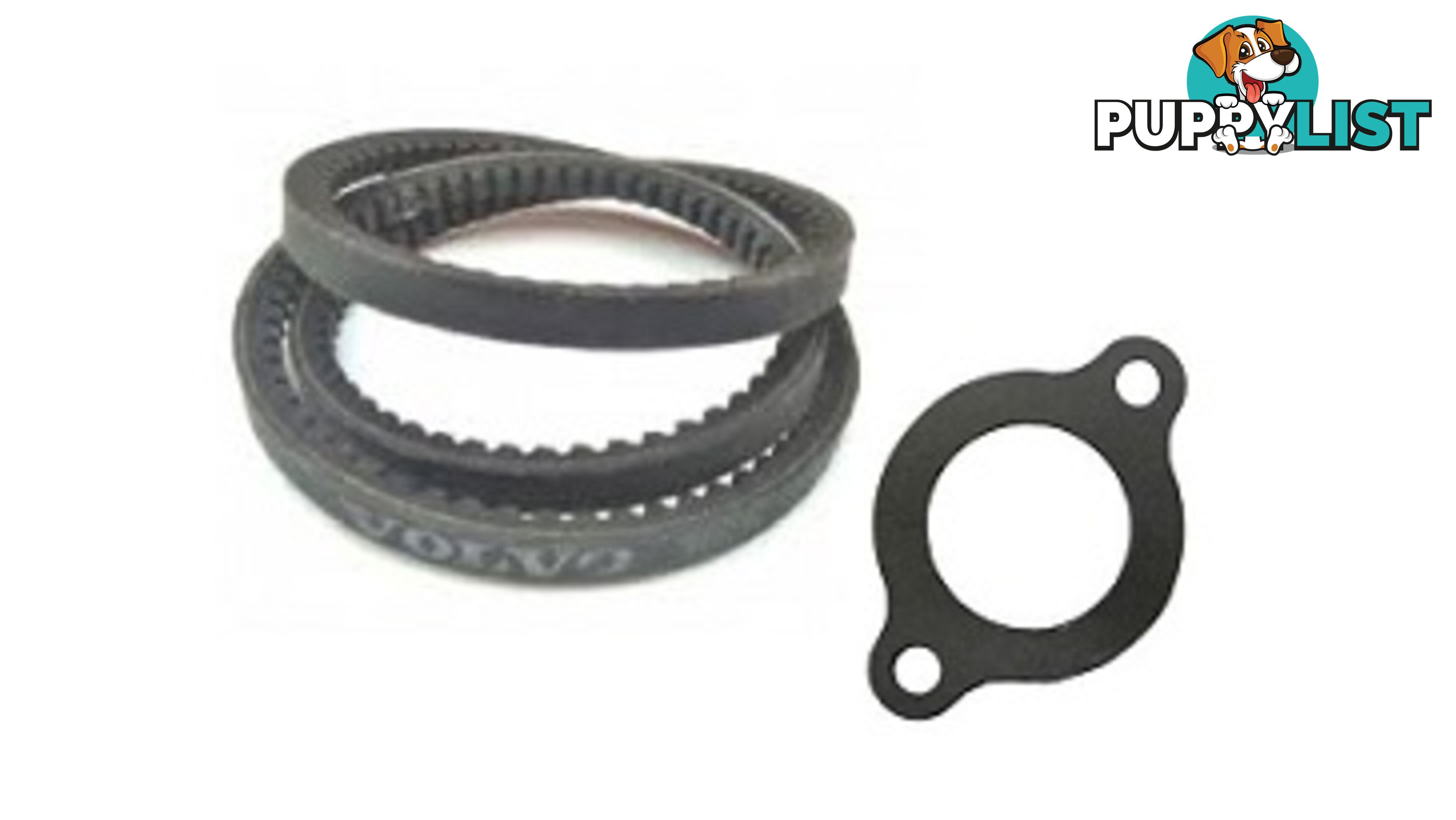 862702, GASKET