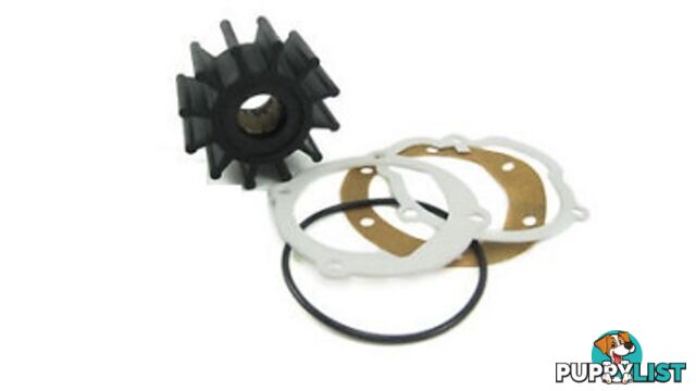 21951350, IMPELLER KIT