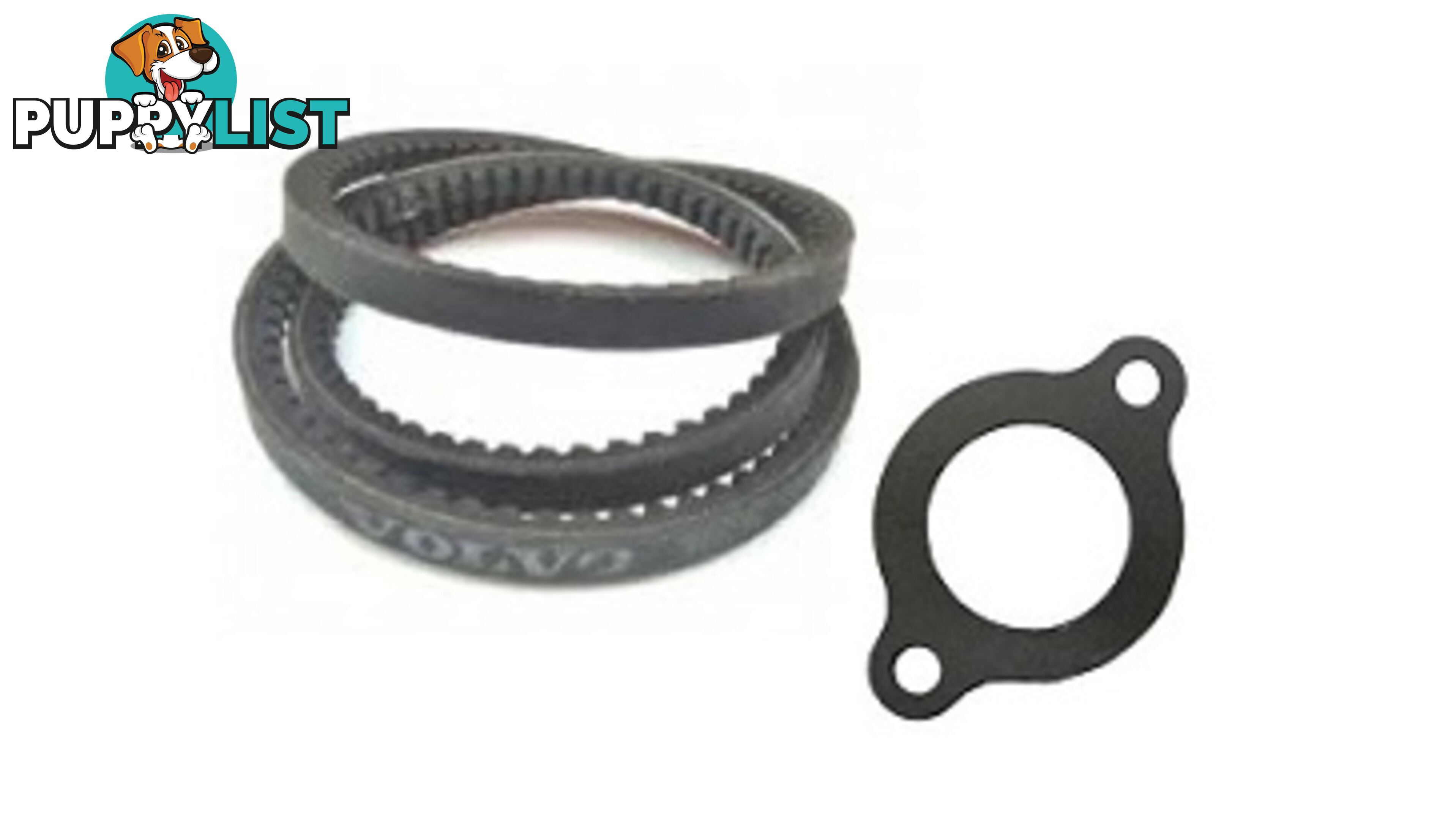 861907, GASKET