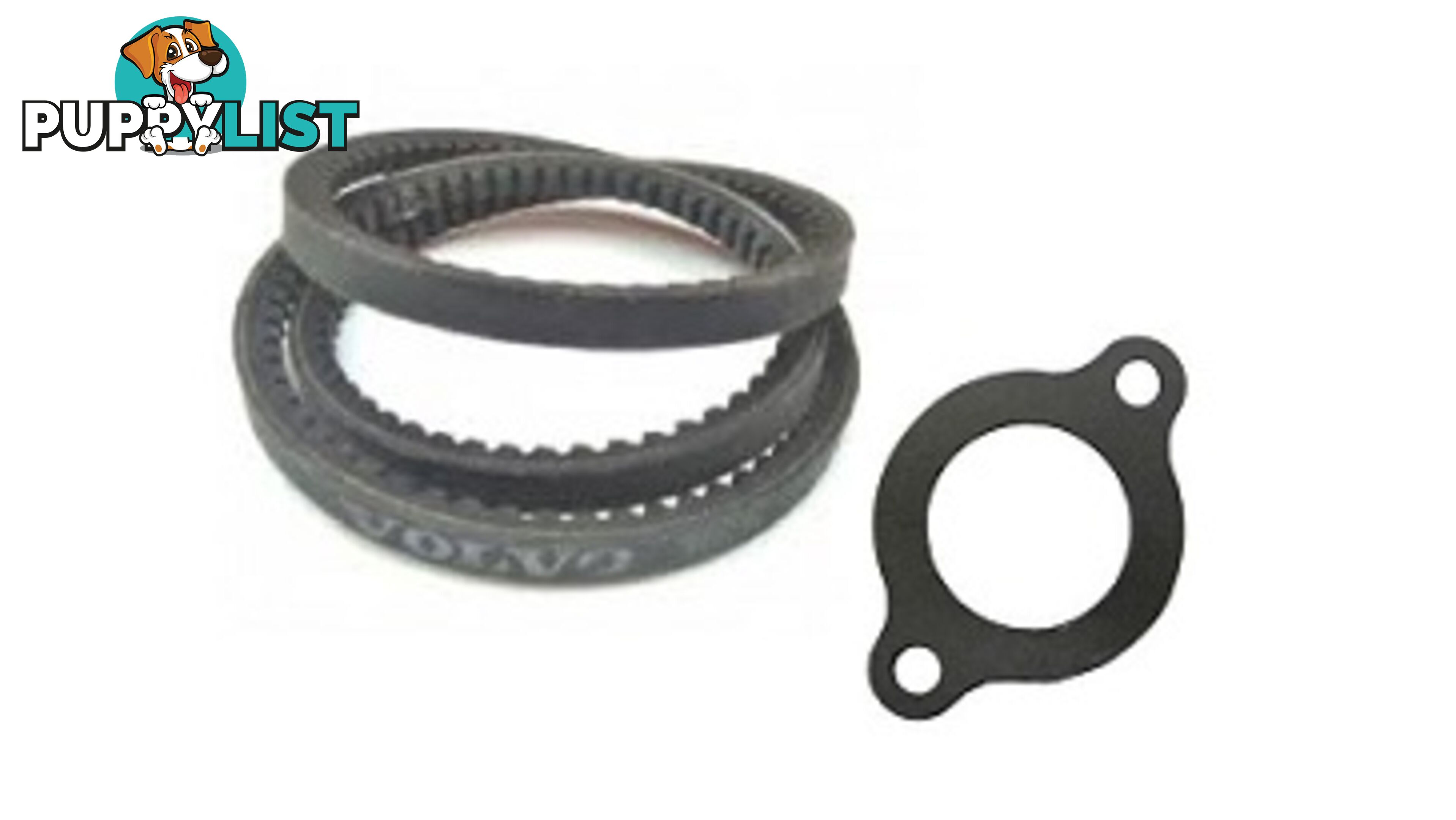 832669, GASKET