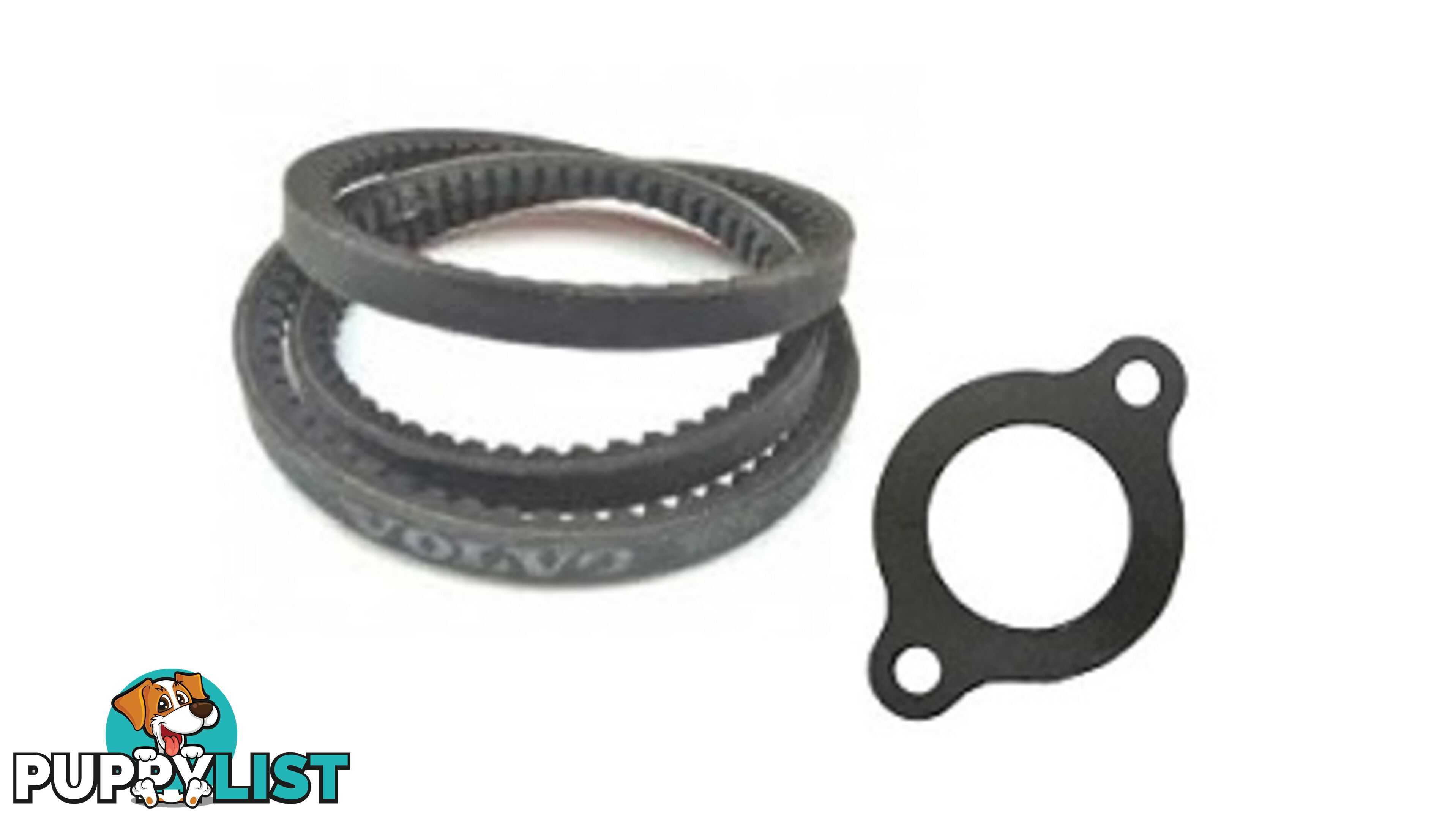 20430387, V-RIBBED BELT