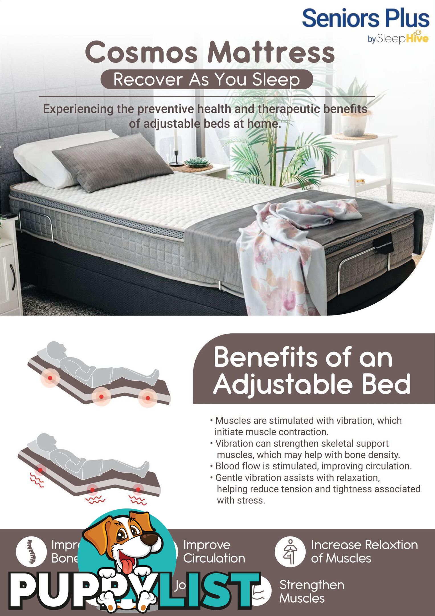 Electric Adjustable Bed(s) for Elderly or Home Care - Seniors Plus Brand