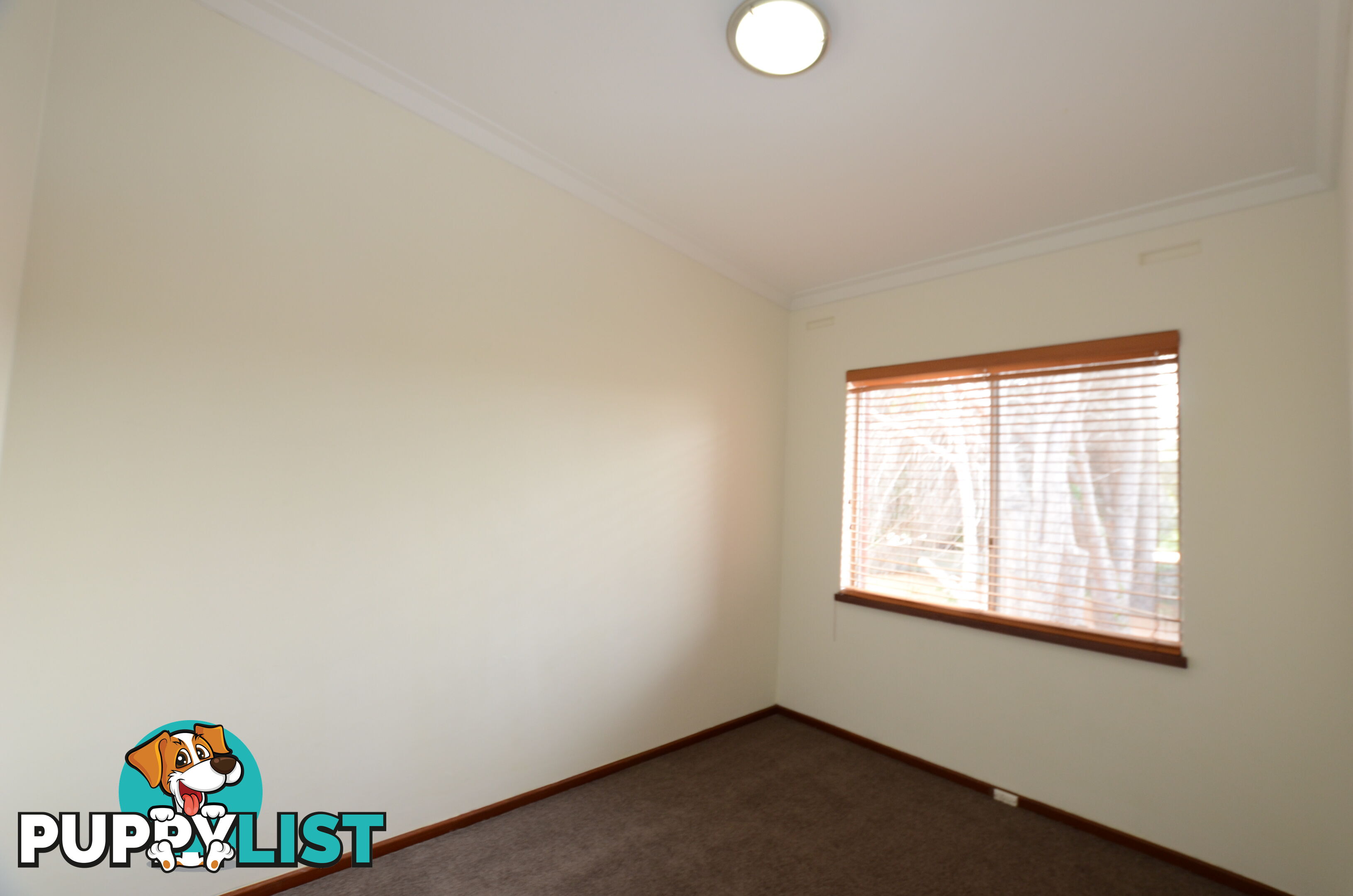 20 65 Shakespeare Ave Yokine WA 6060