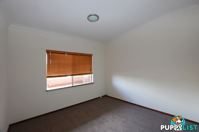 20 65 Shakespeare Ave Yokine WA 6060