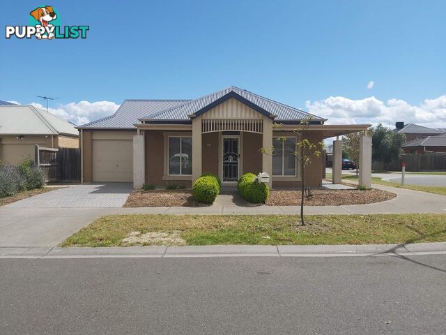 19 Blairgowrie Drive Craigieburn VIC 3064