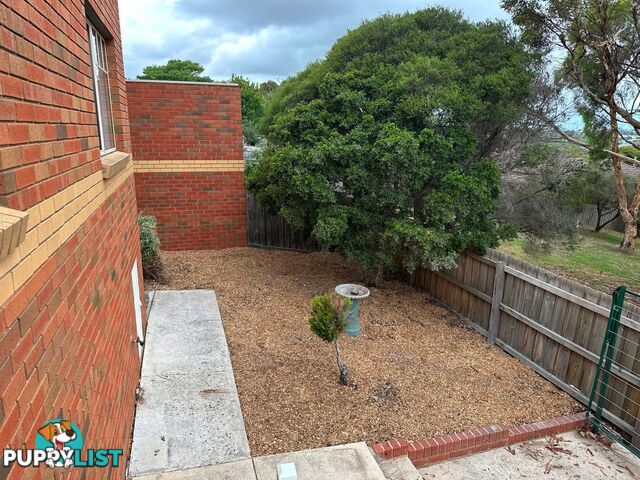 33 Rutland Street Niddrie VIC 3042