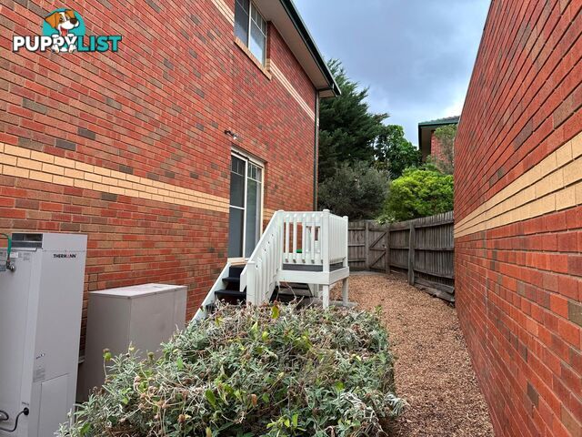 33 Rutland Street Niddrie VIC 3042