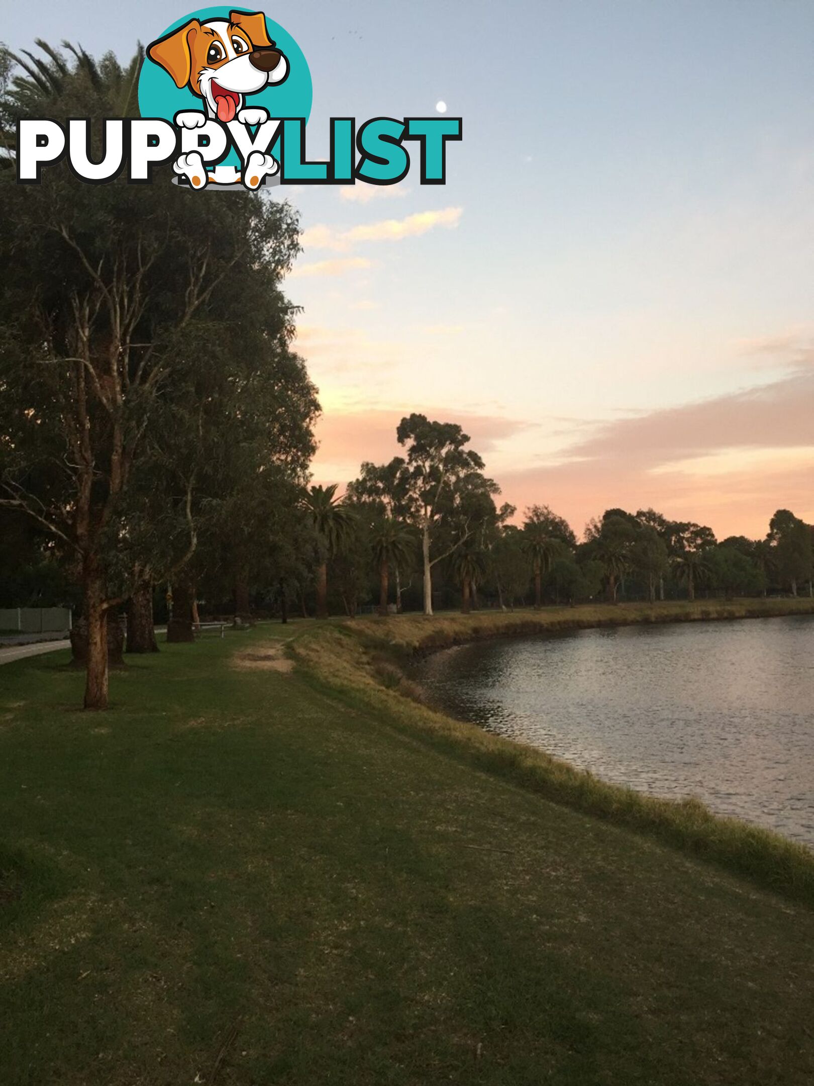 6 4 Navigator Street Maribyrnong VIC 3032