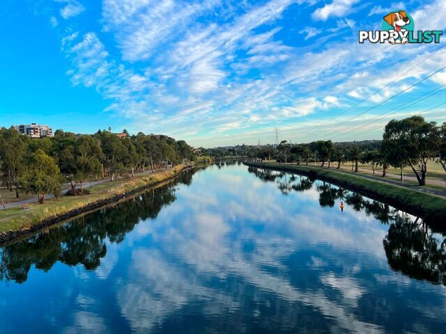 6 4 Navigator Street Maribyrnong VIC 3032