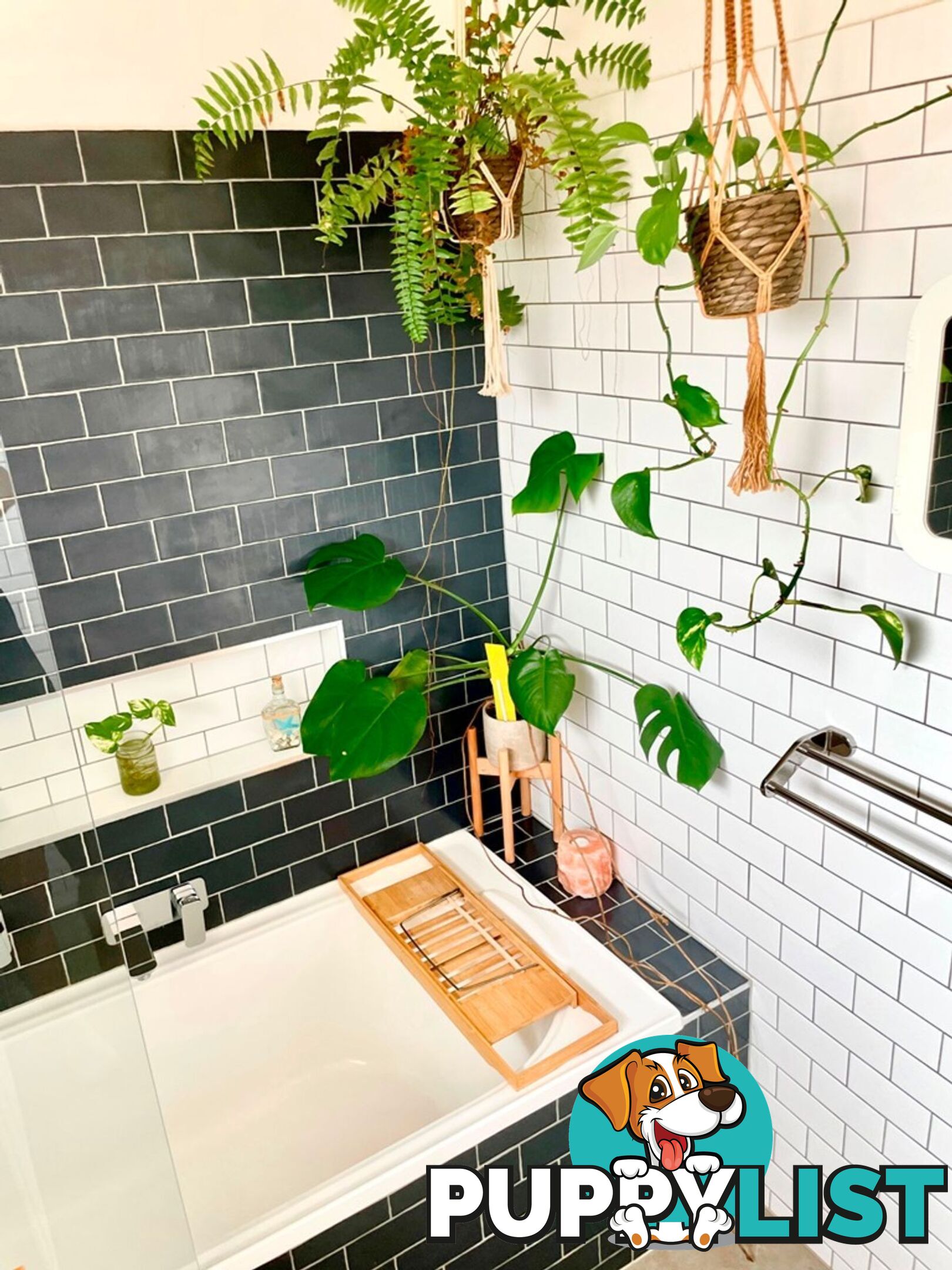 6 4 Navigator Street Maribyrnong VIC 3032