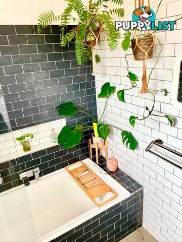 6 4 Navigator Street Maribyrnong VIC 3032
