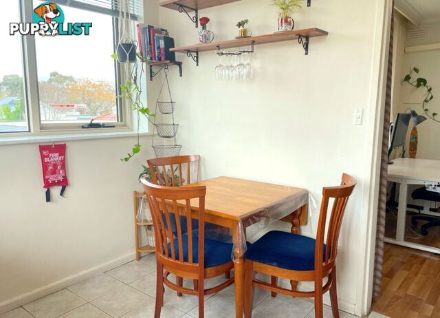 6 4 Navigator Street Maribyrnong VIC 3032