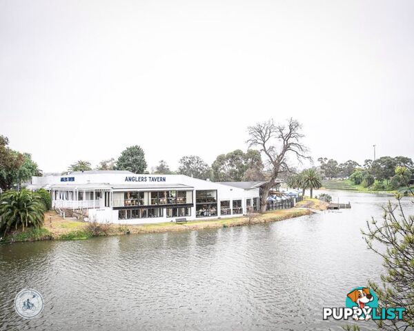 6 4 Navigator Street Maribyrnong VIC 3032