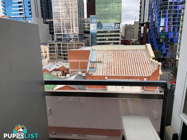 808 118 Franklin Street Melbourne VIC 3000