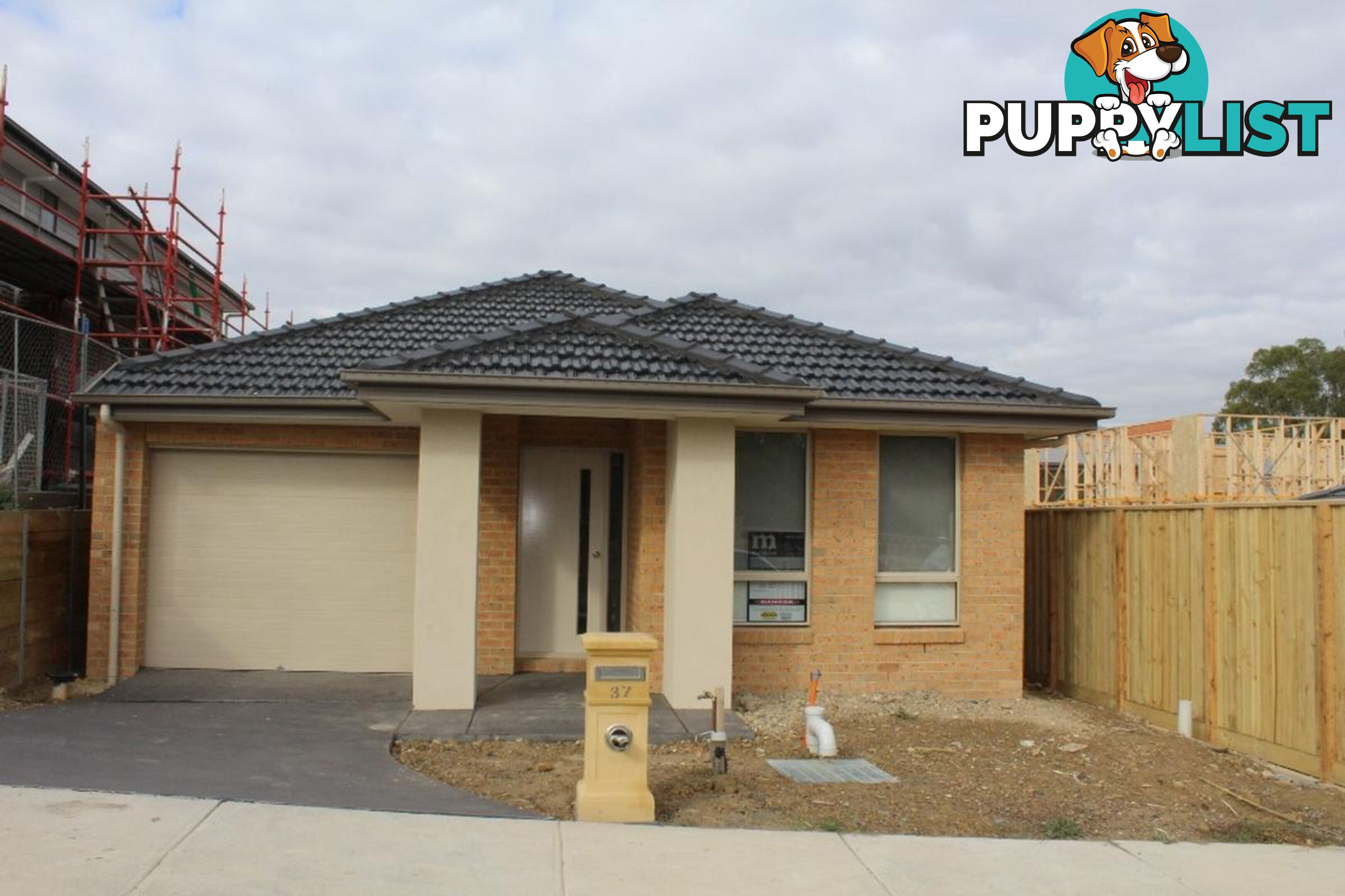 37 Danthonia Street COBURG NORTH VIC 3058