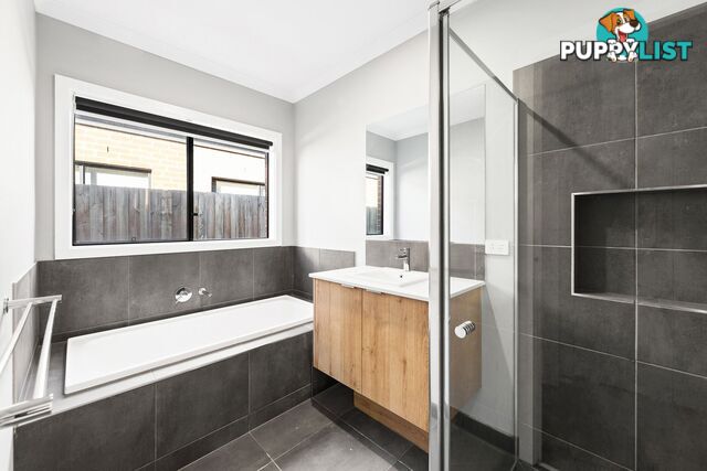 38 Northam Street Mambourin VIC 3024