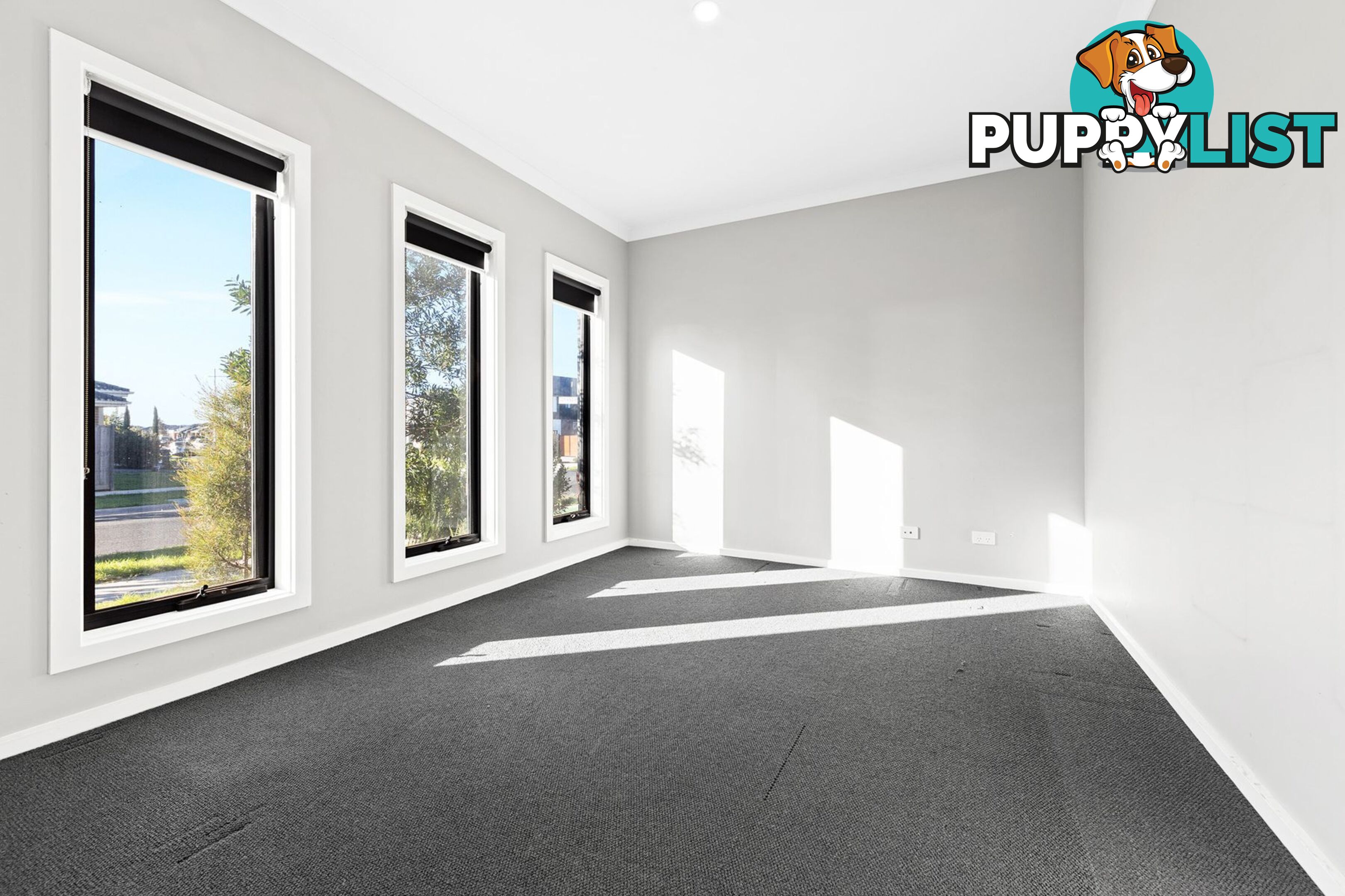38 Northam Street Mambourin VIC 3024