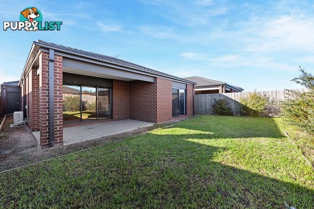 38 Northam Street Mambourin VIC 3024