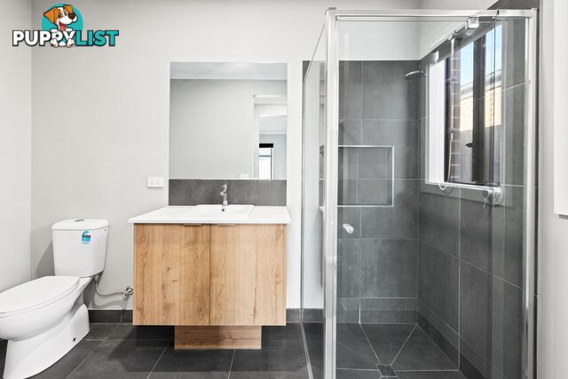 38 Northam Street Mambourin VIC 3024