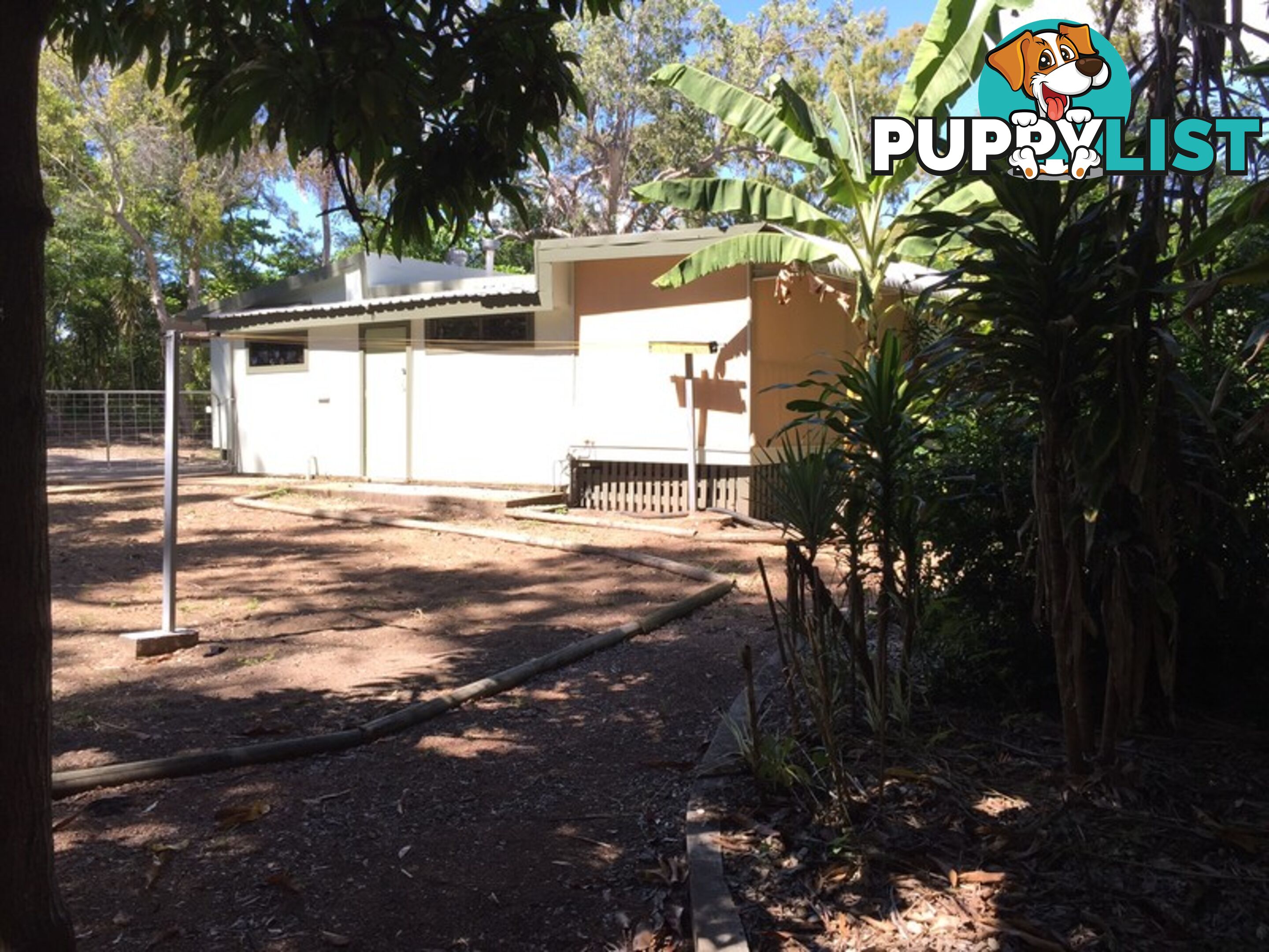 20 Snapper Court Cungulla QLD 4816