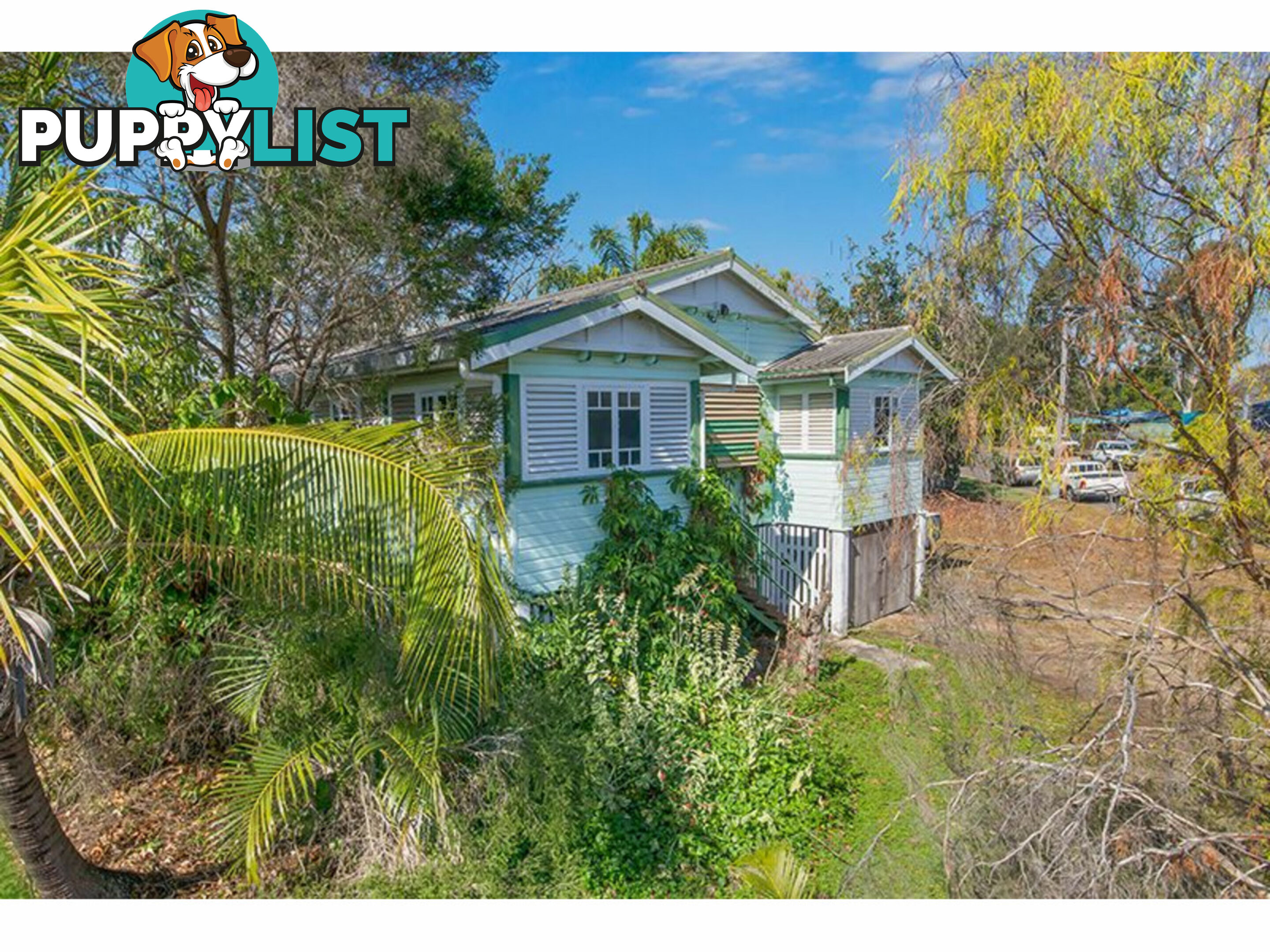 42 McLachlan Street Currajong QLD 4812