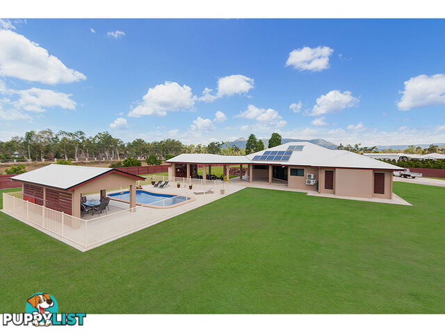 17 Therese Court Alice River QLD 4817