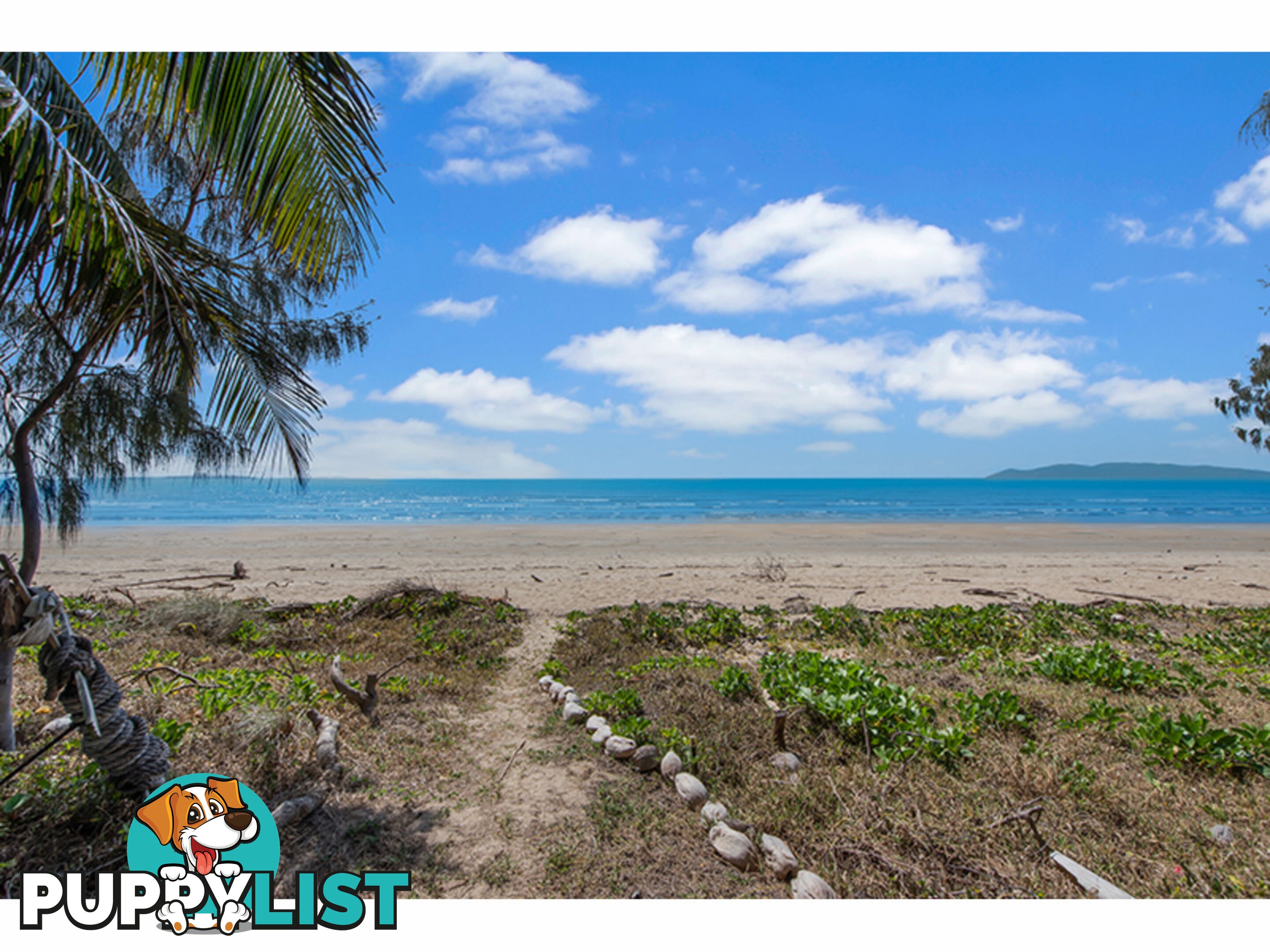 63 Cay Street Saunders Beach QLD 4818