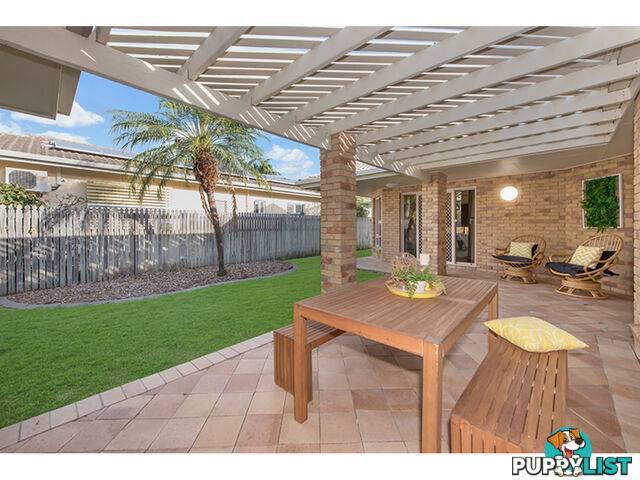 6 Sundew Close Kirwan QLD 4817