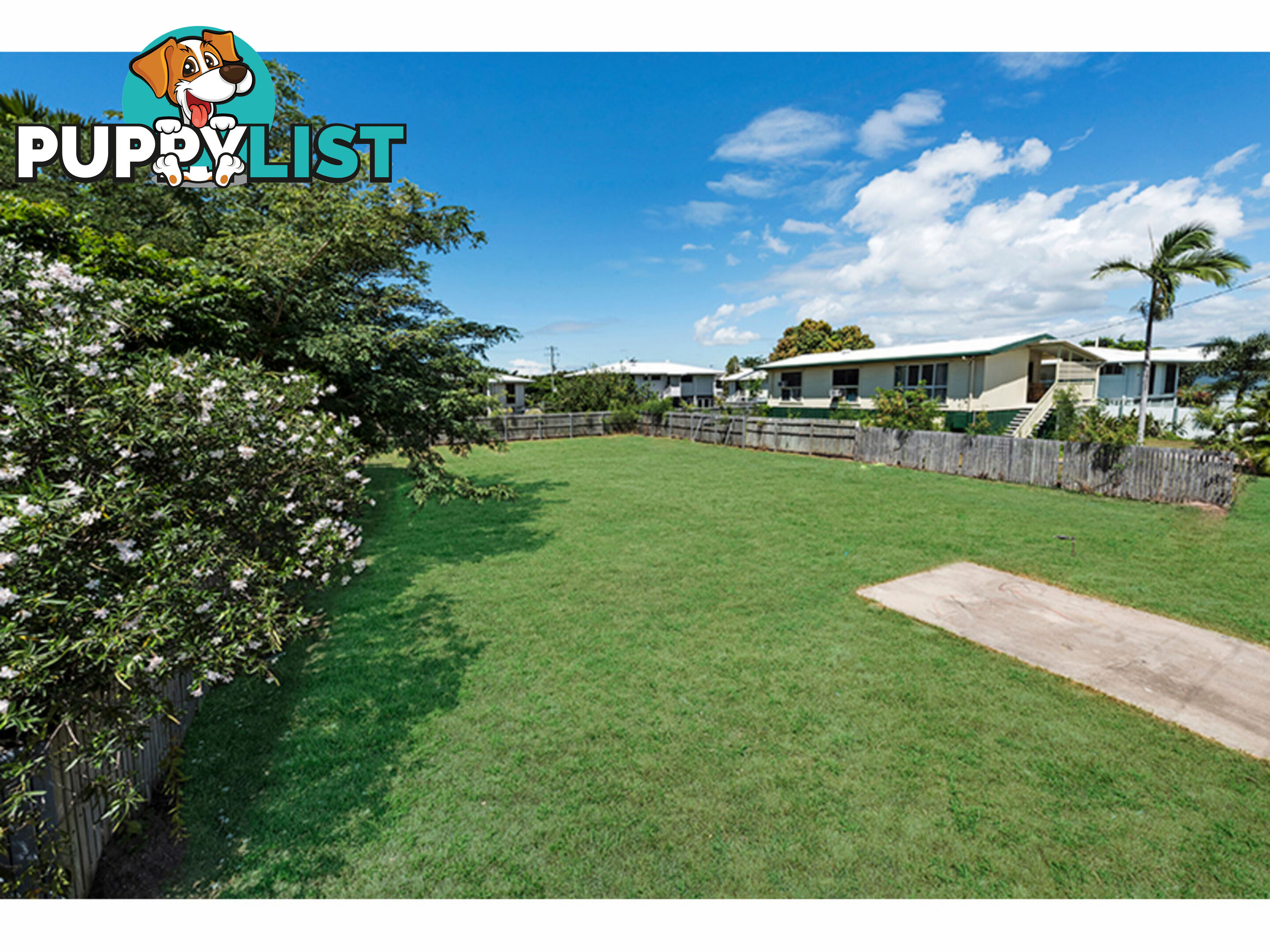 17 Biggs Street Vincent QLD 4814