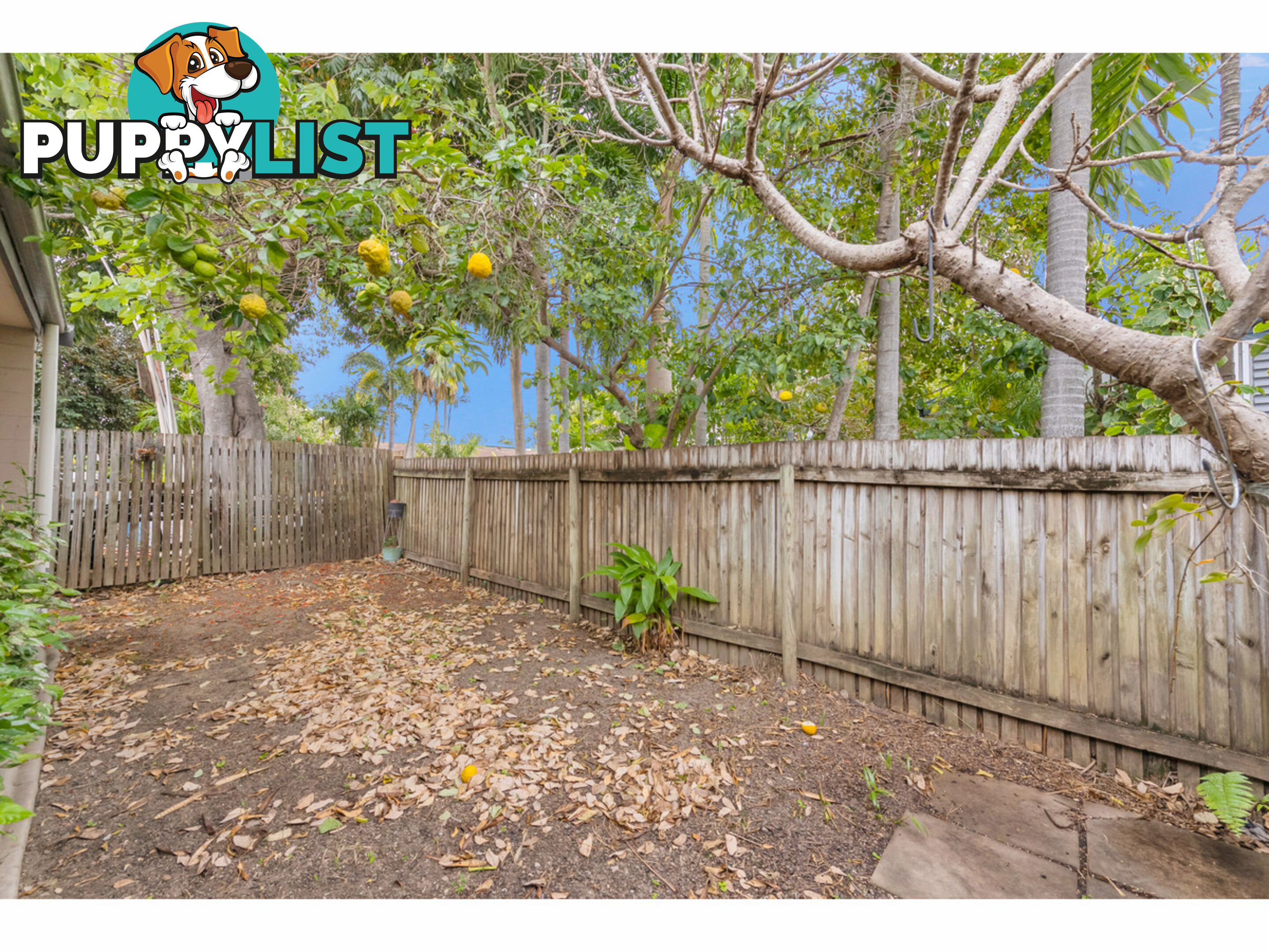 5 5 Macintosh Street Hermit Park QLD 4812