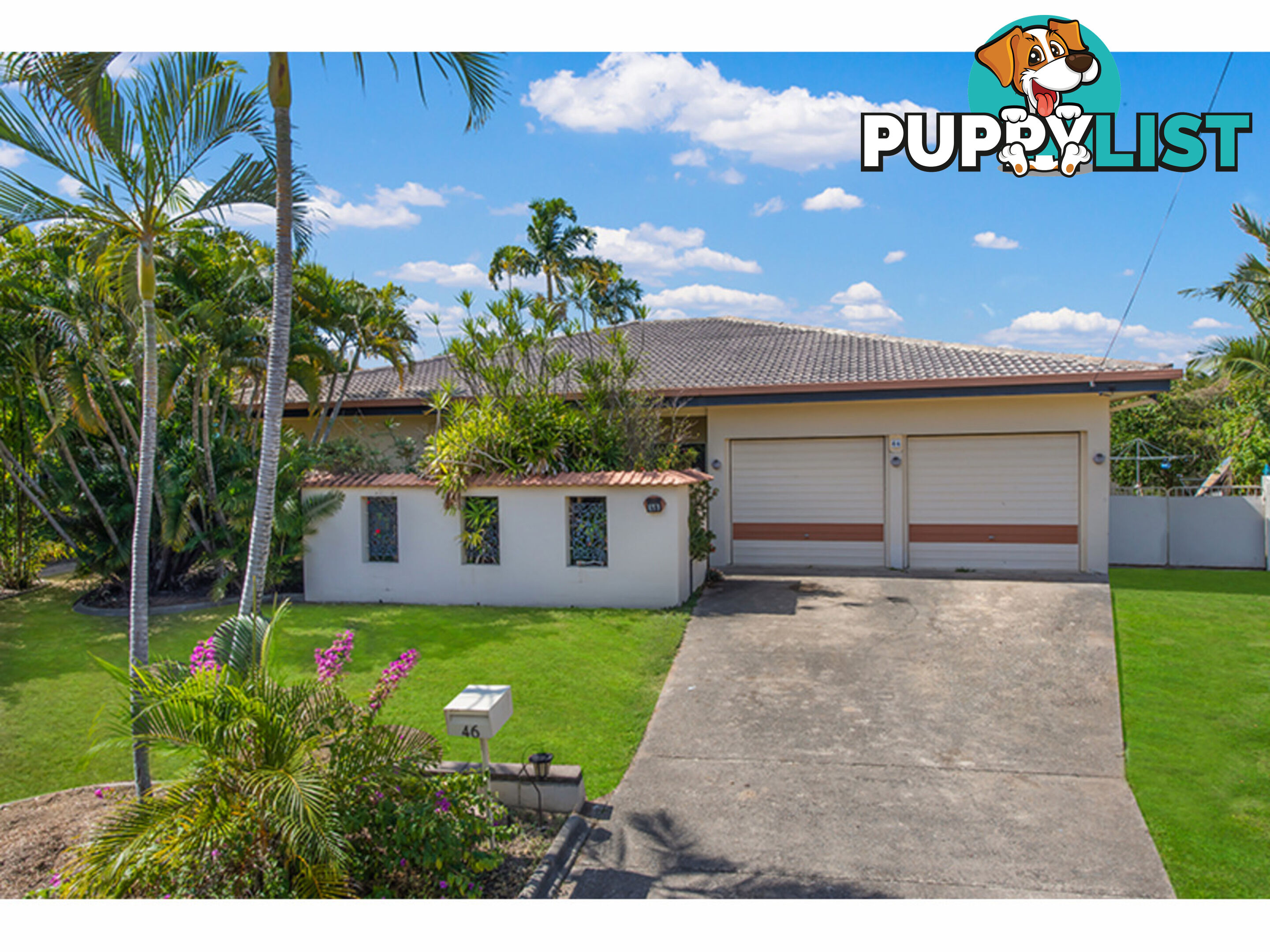 46 Pine Street Kirwan QLD 4817