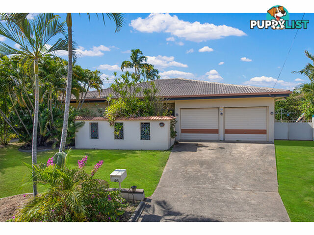 46 Pine Street Kirwan QLD 4817