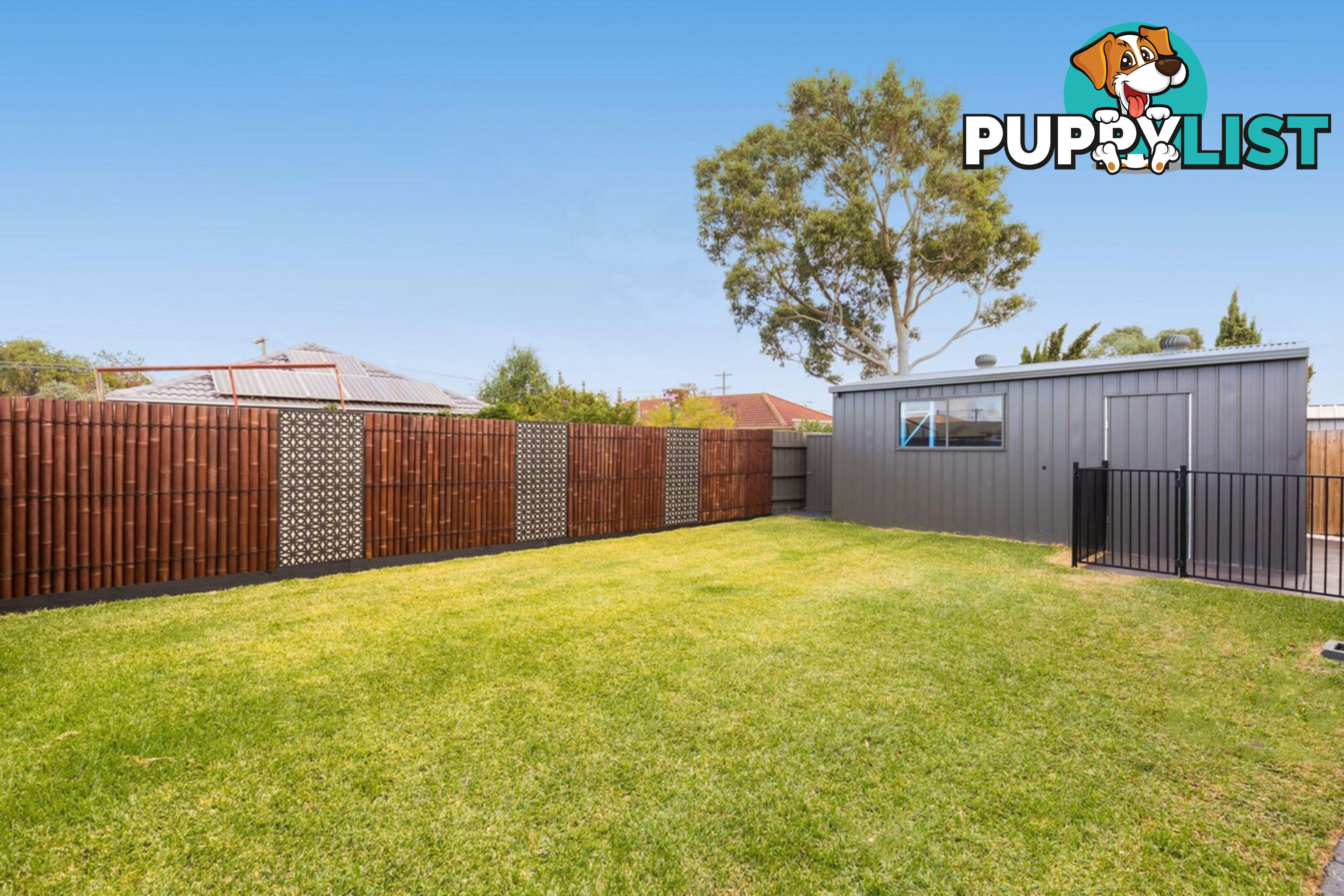 41 Purchas Street WERRIBEE VIC 3030