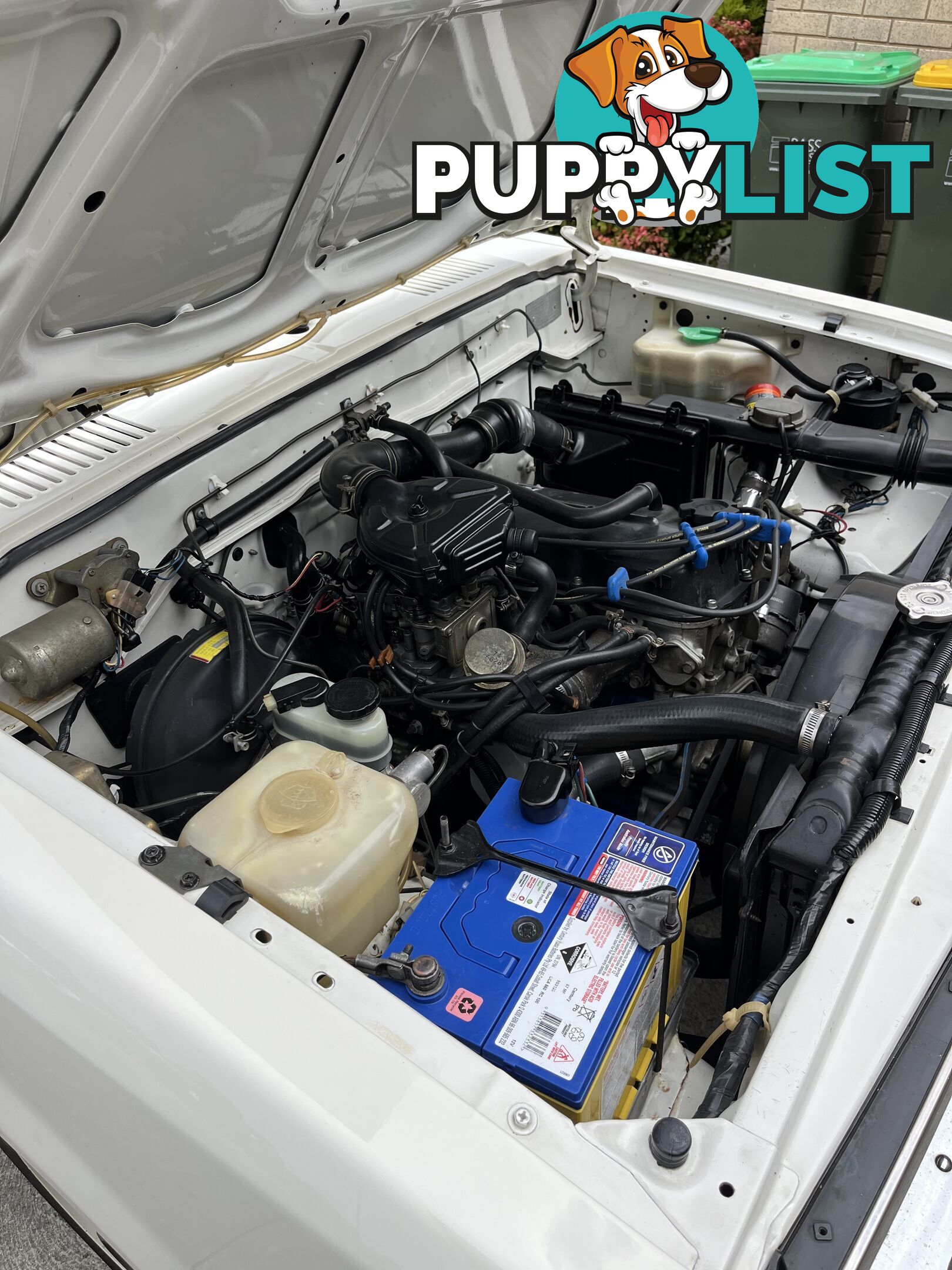 1986 Nissan 720 sports king cab 5 speed manual