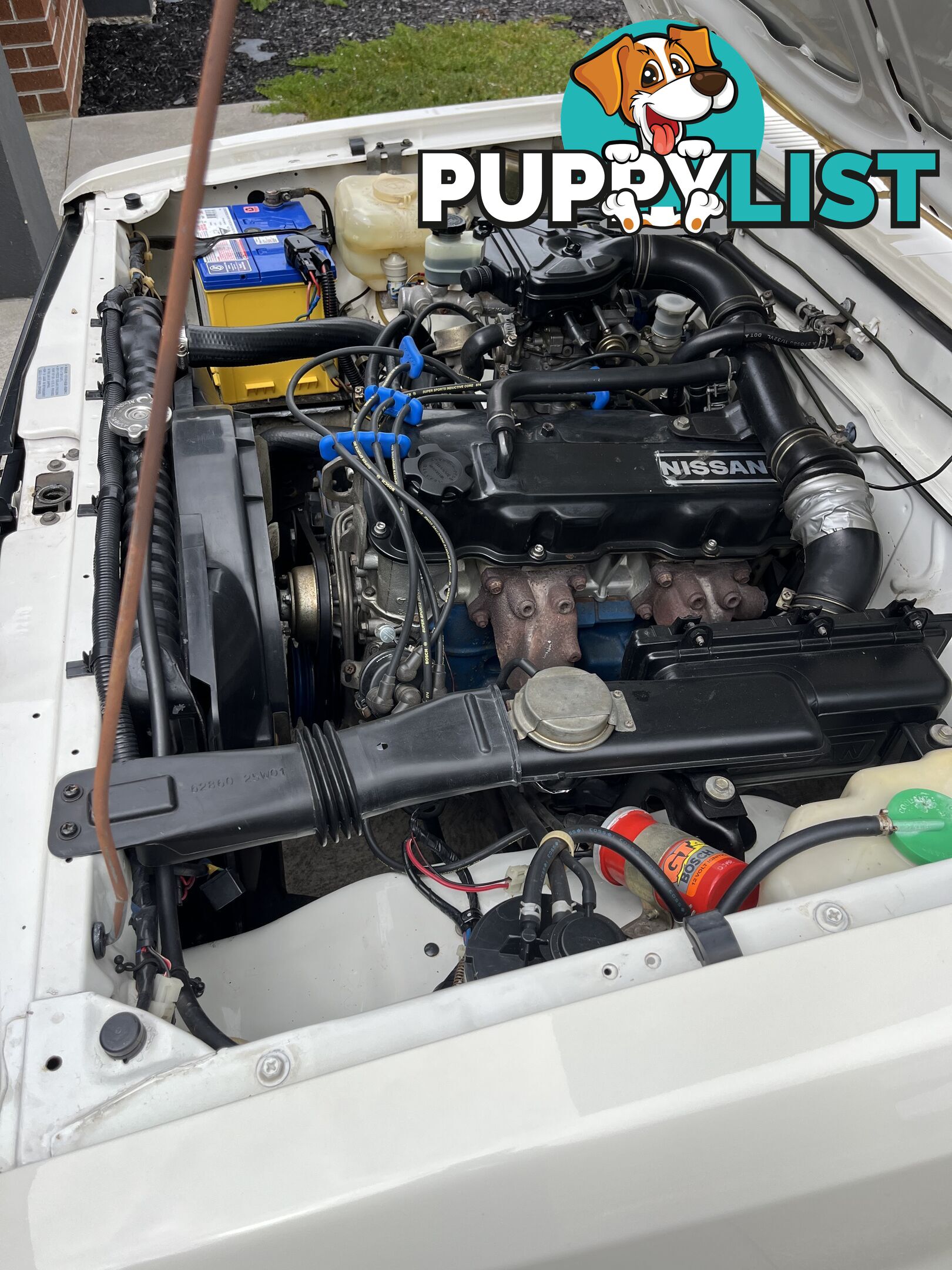 1986 Nissan 720 sports king cab 5 speed manual