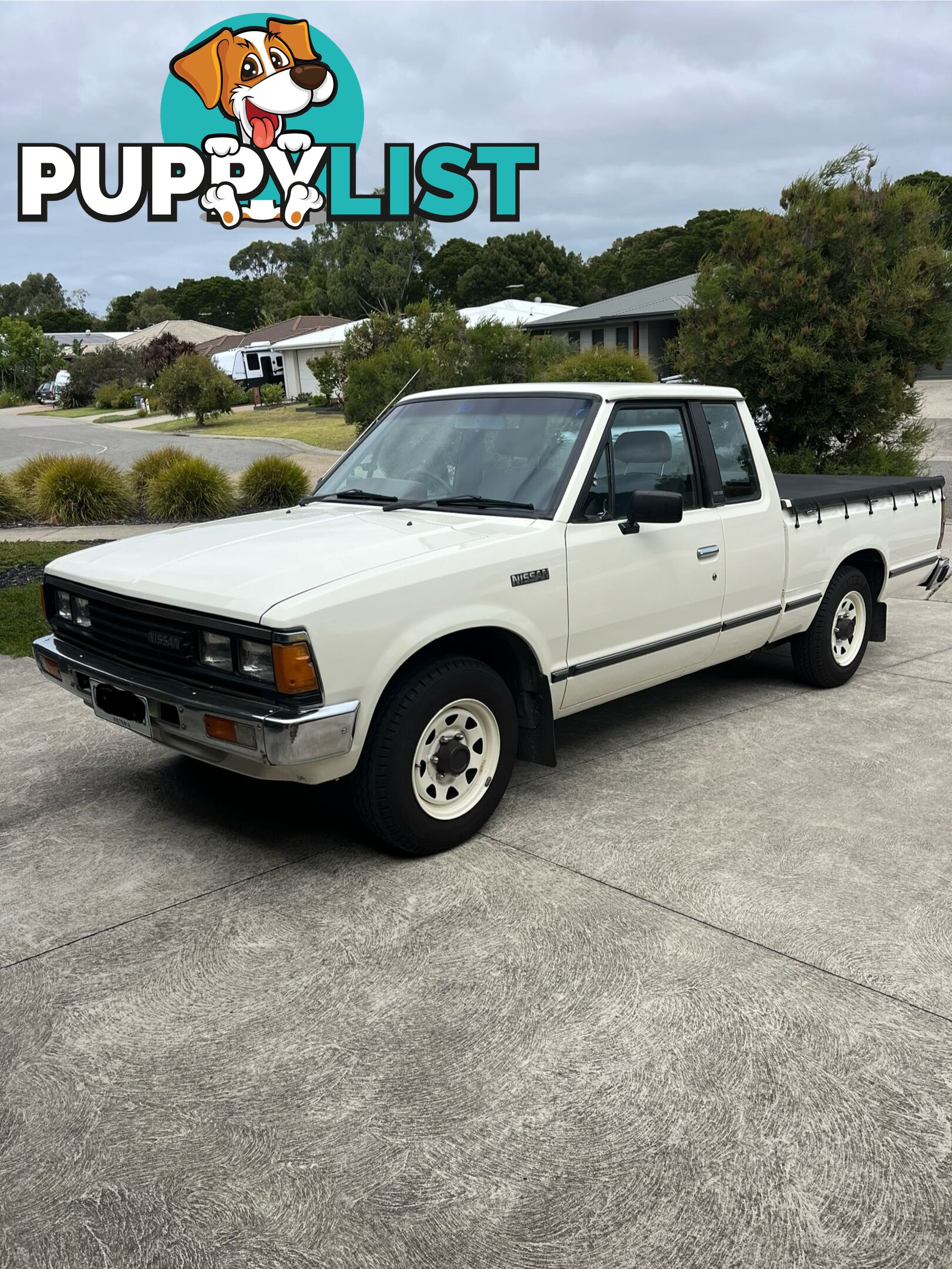 1986 Nissan 720 sports king cab 5 speed manual