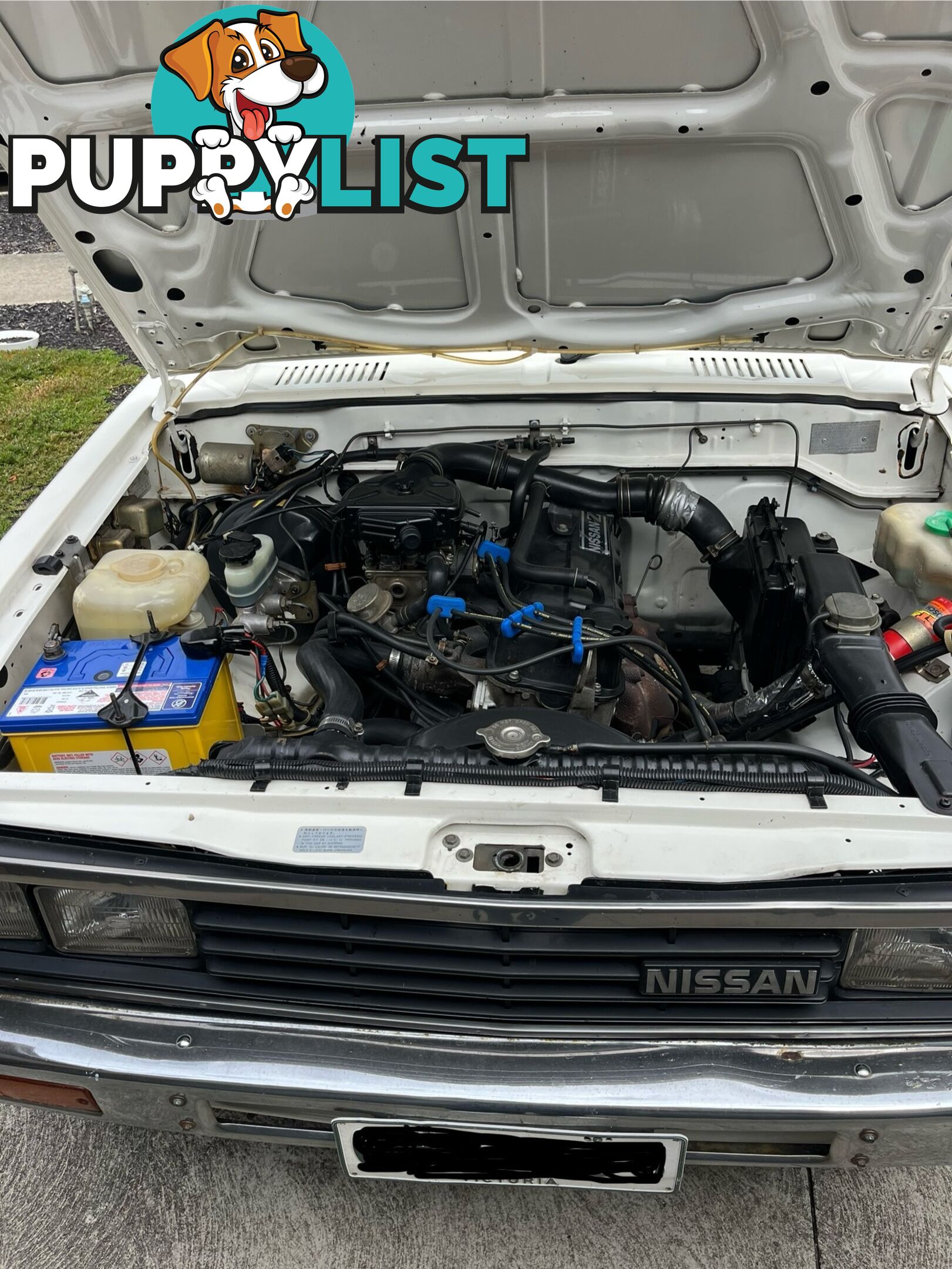 1986 Nissan 720 sports king cab 5 speed manual