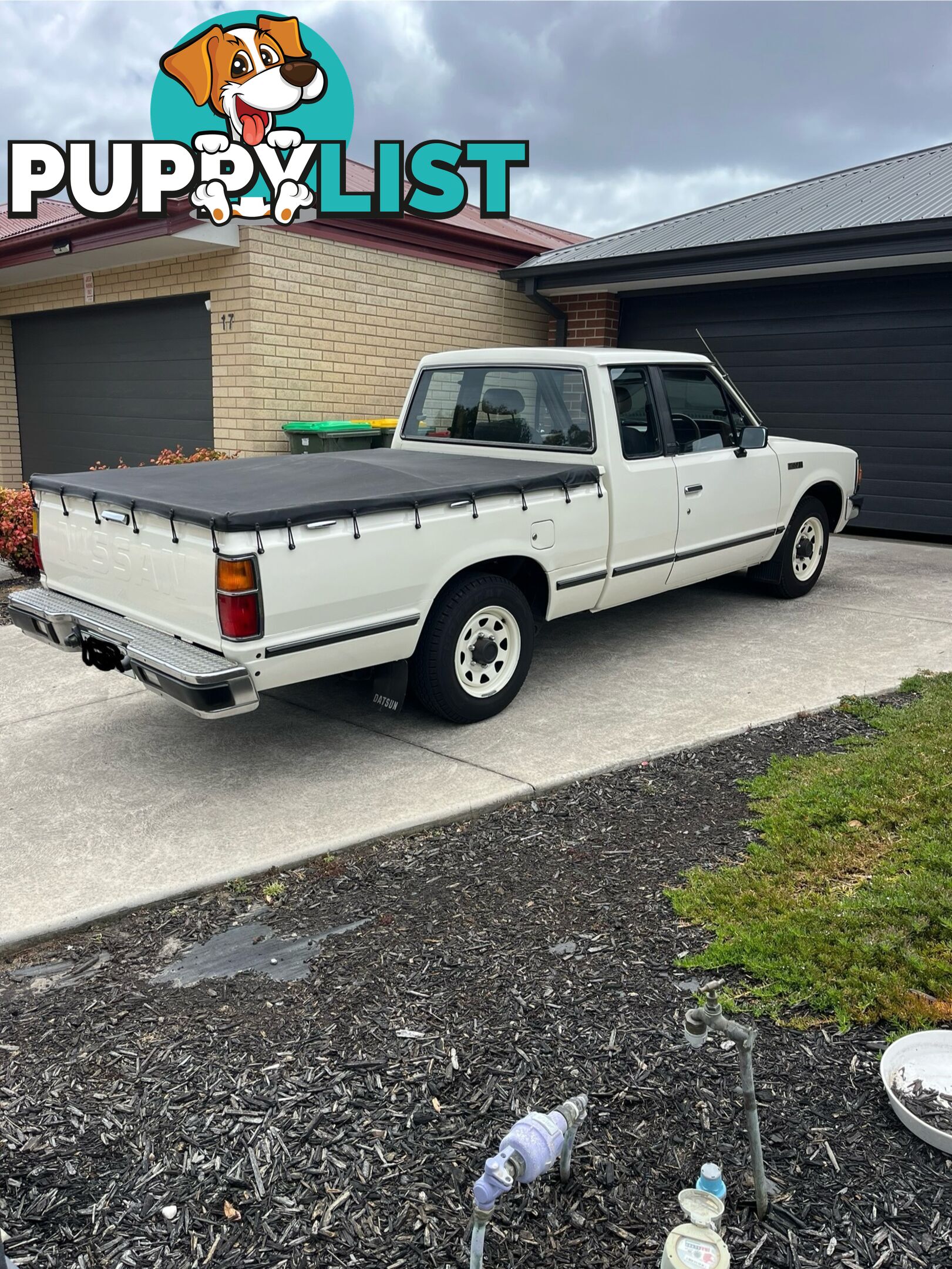 1986 Nissan 720 sports king cab 5 speed manual