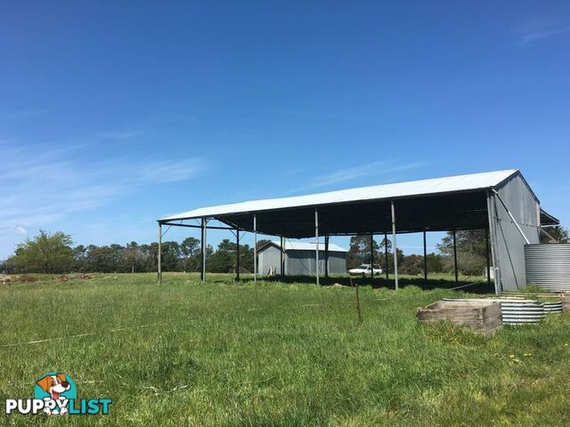 4830 Princes Highway BIRREGURRA VIC 3242