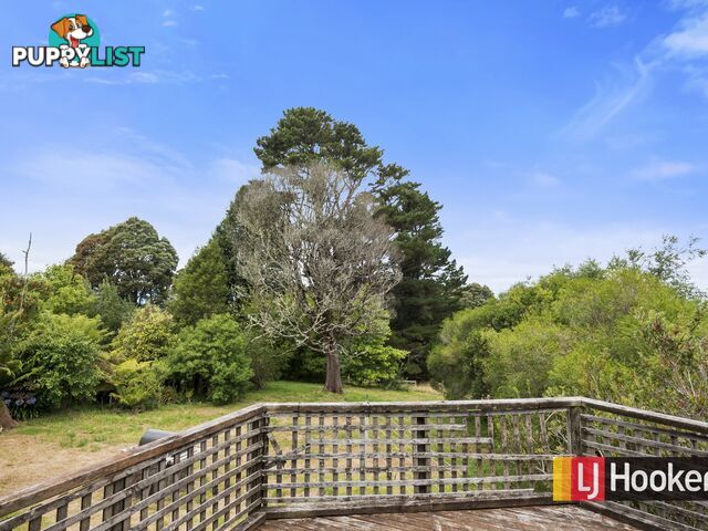 44 Old Main Road BEECH FOREST VIC 3237