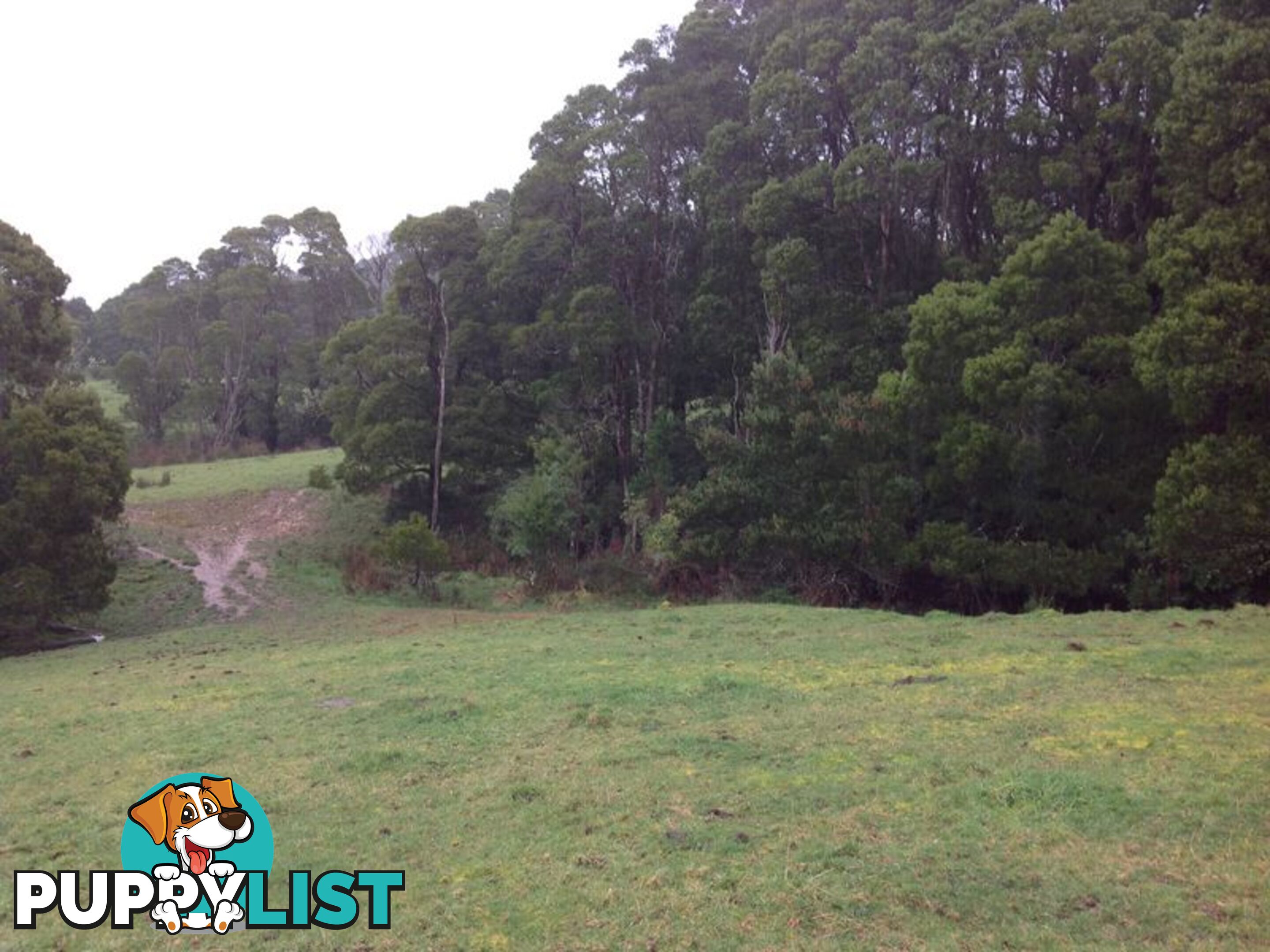 Lot 22 Old Main Road BEECH FOREST VIC 3237